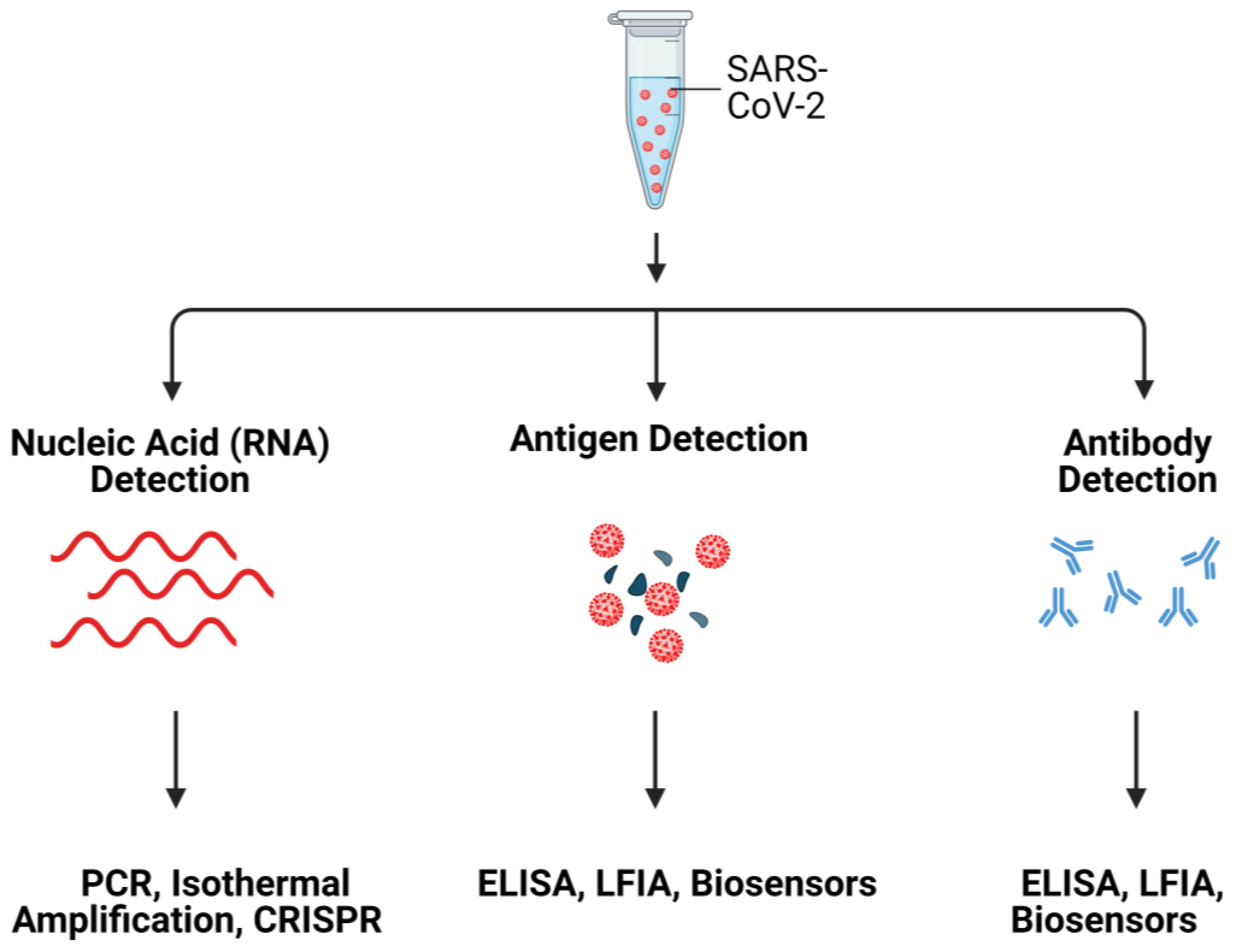 Biosensors 12 00984 g001