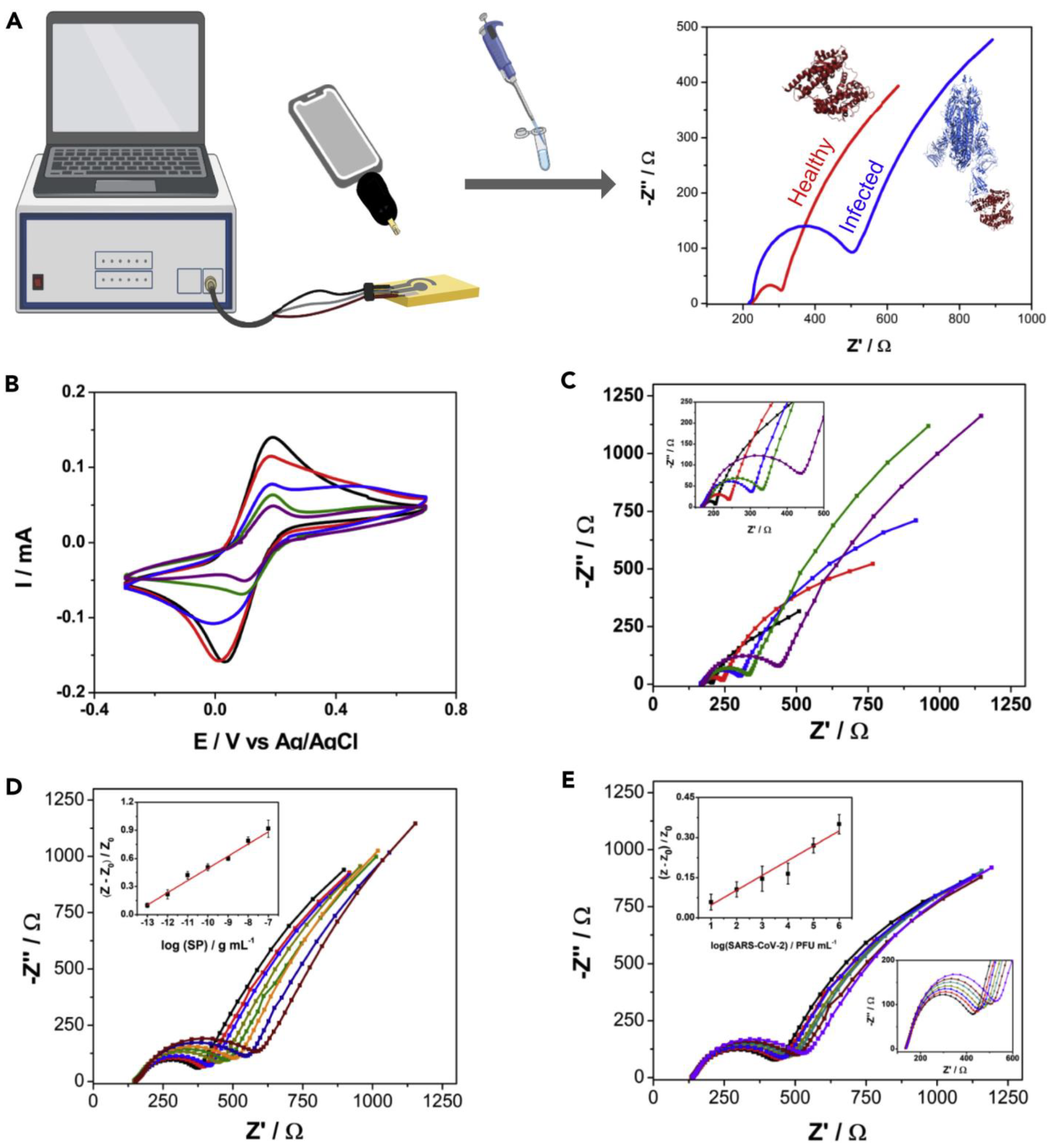 Biosensors 12 00984 g006