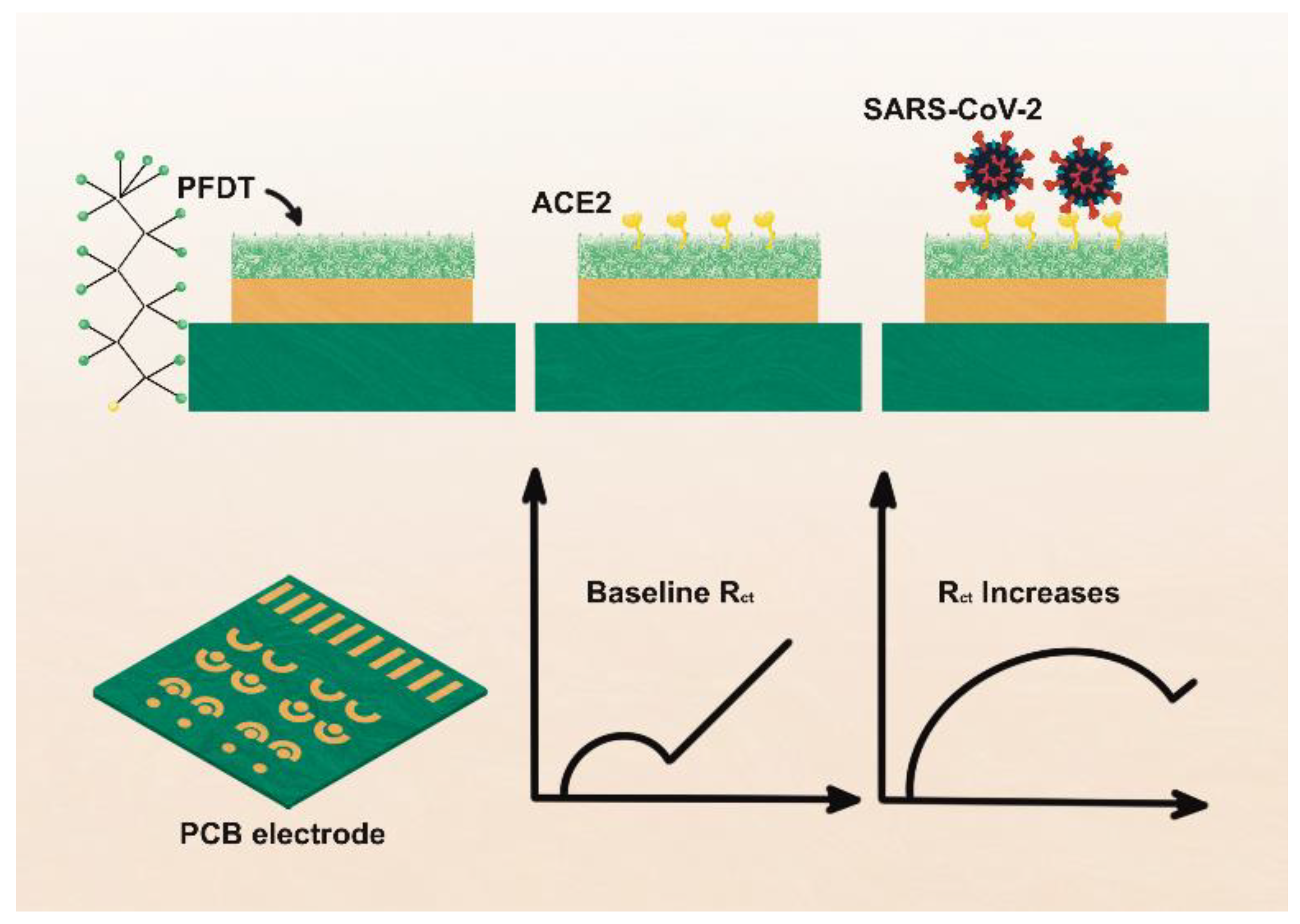 Biosensors 12 00984 g007