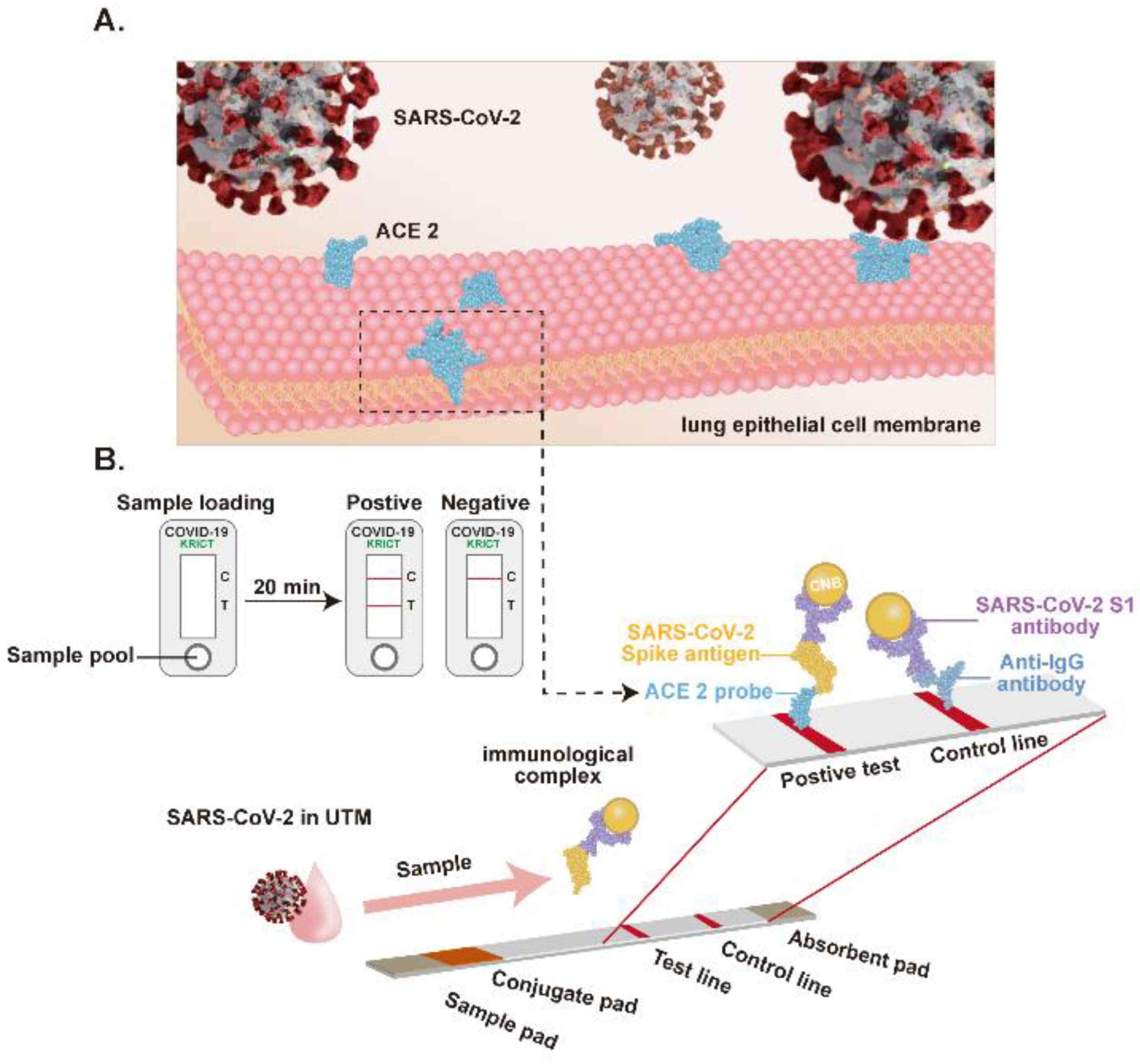 Biosensors 12 00984 g009