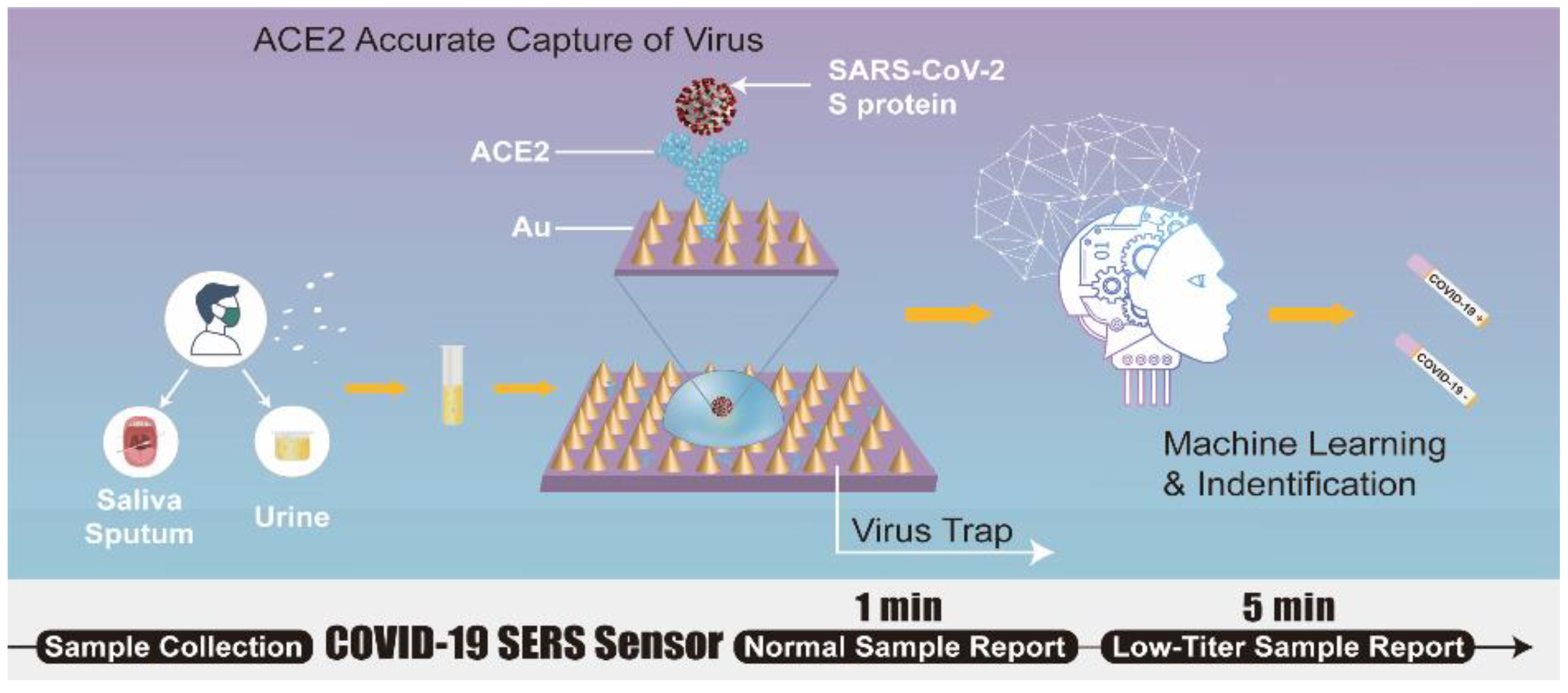 Biosensors 12 00984 g010