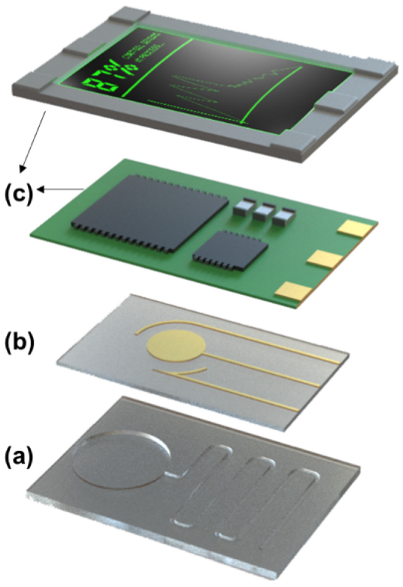 Biosensors 12 00986 g001