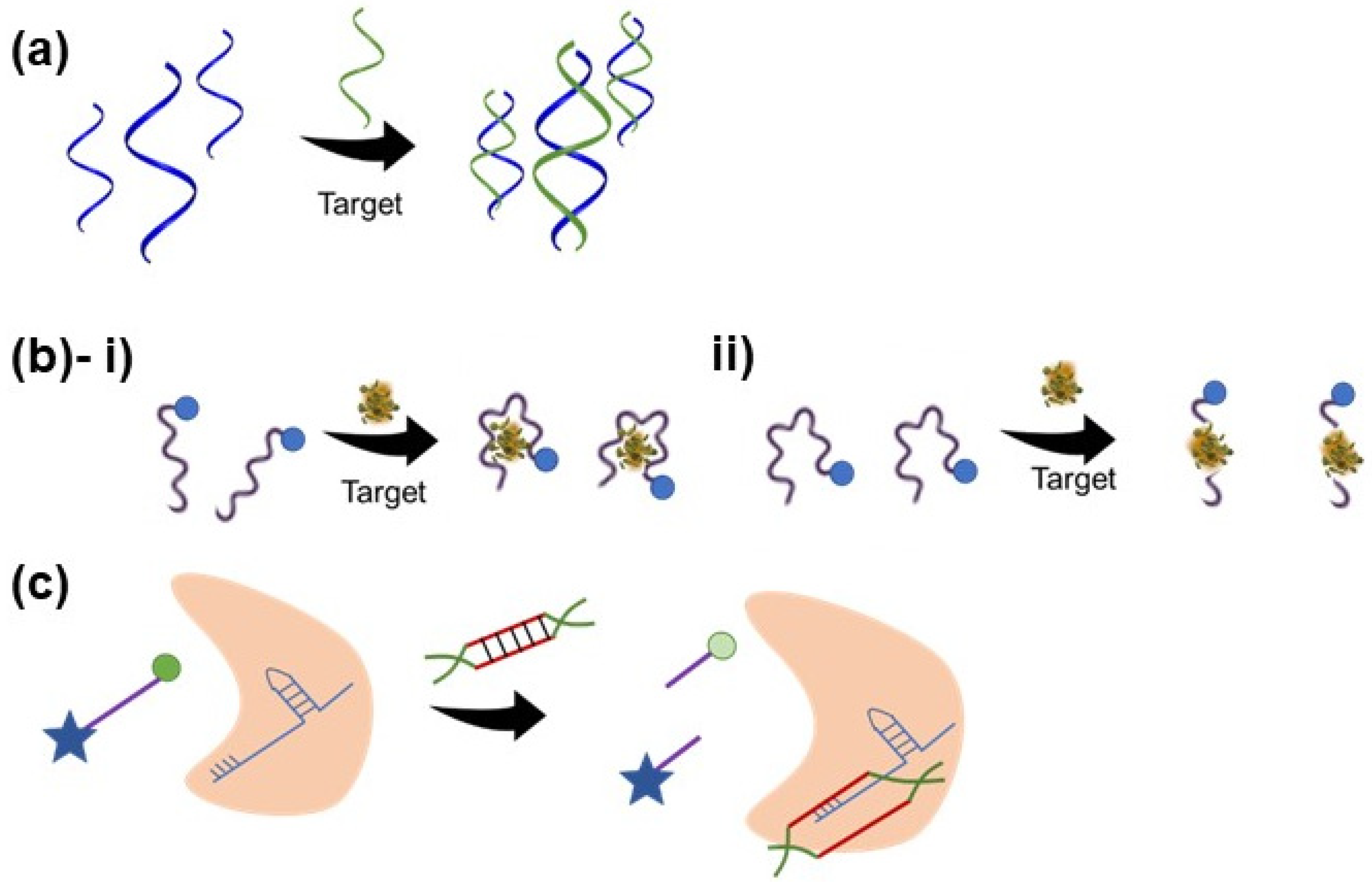 Biosensors 12 00986 g003