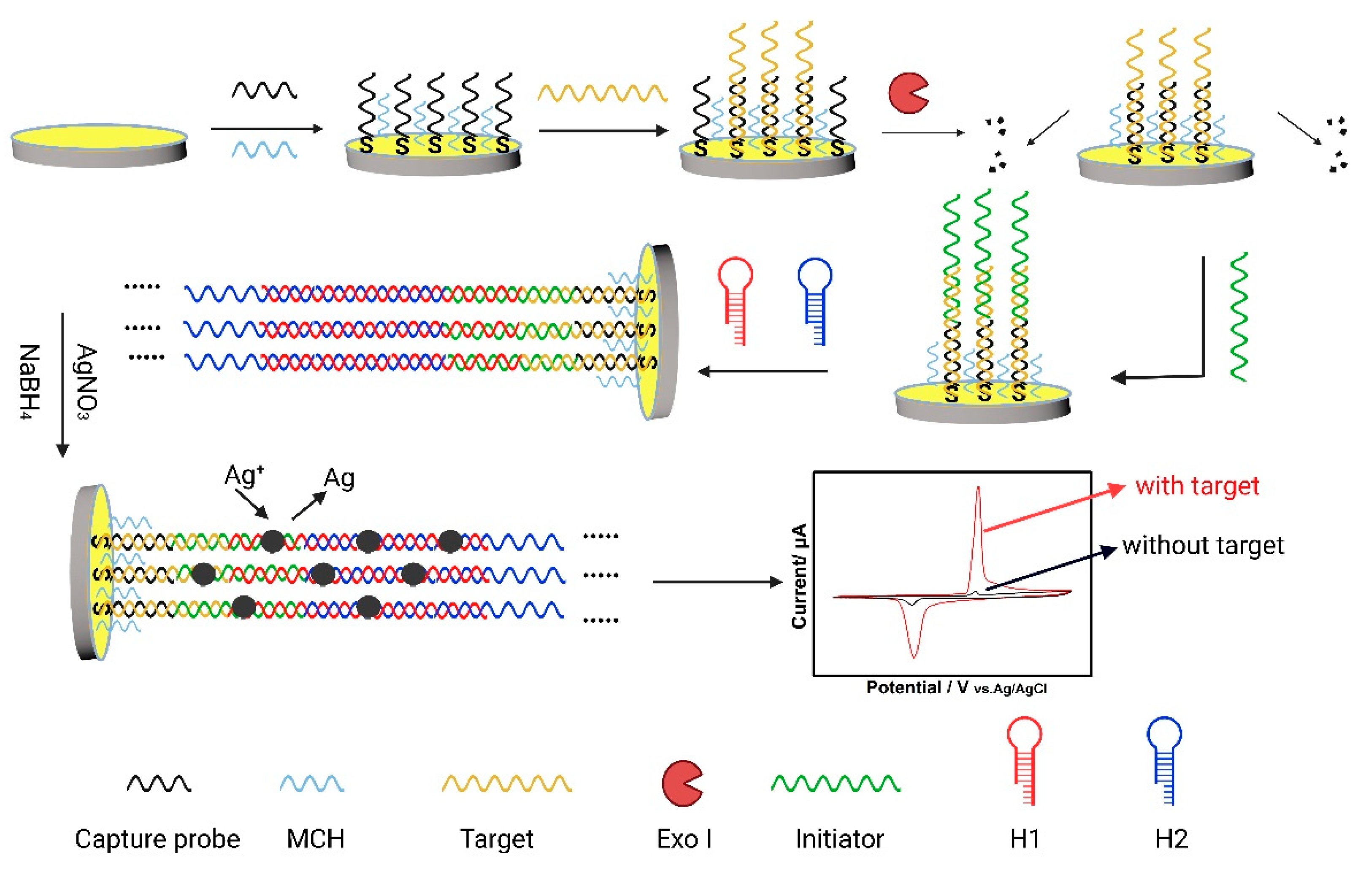 Biosensors 12 00989 sch001