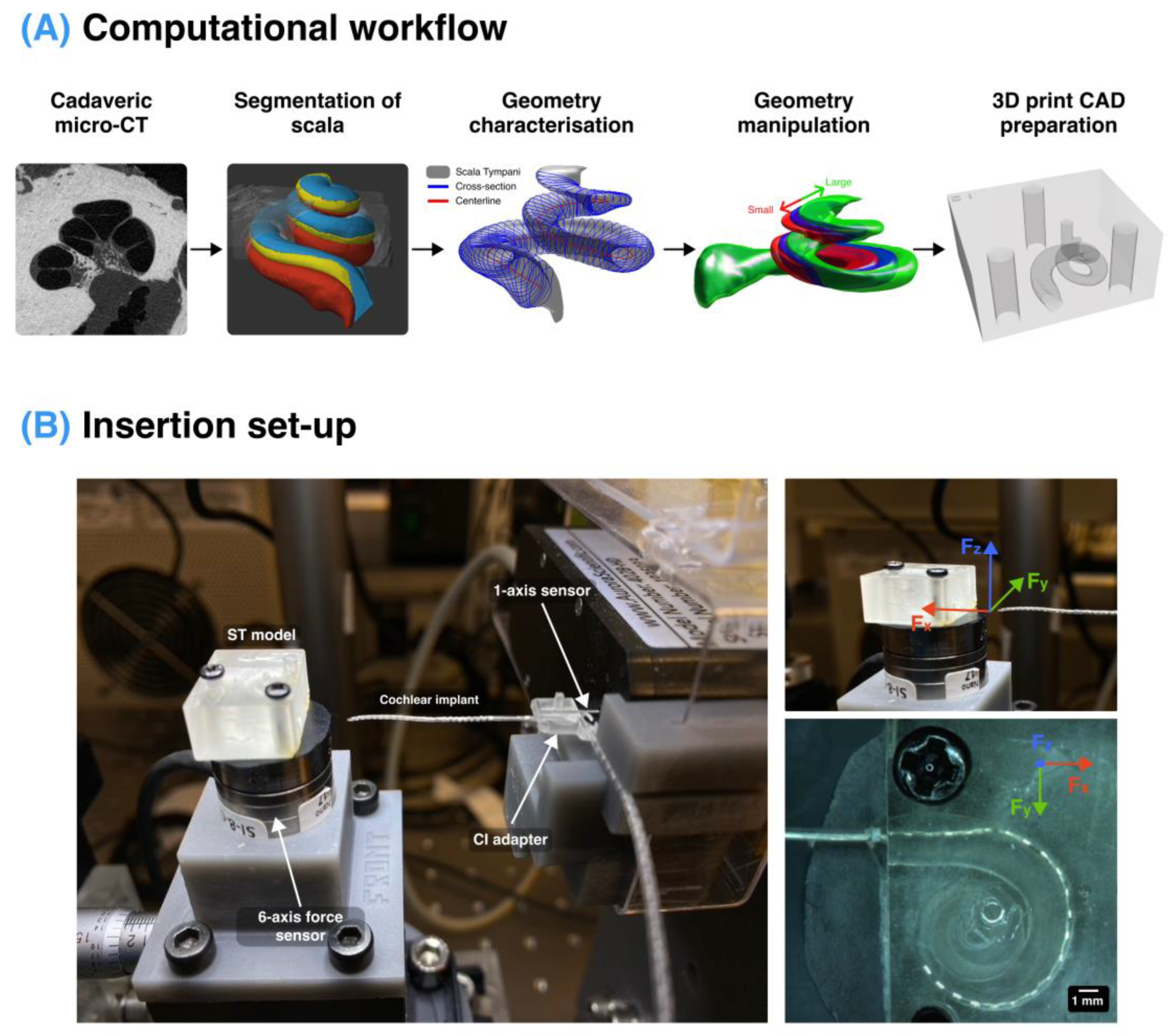 Biosensors 12 00999 g001