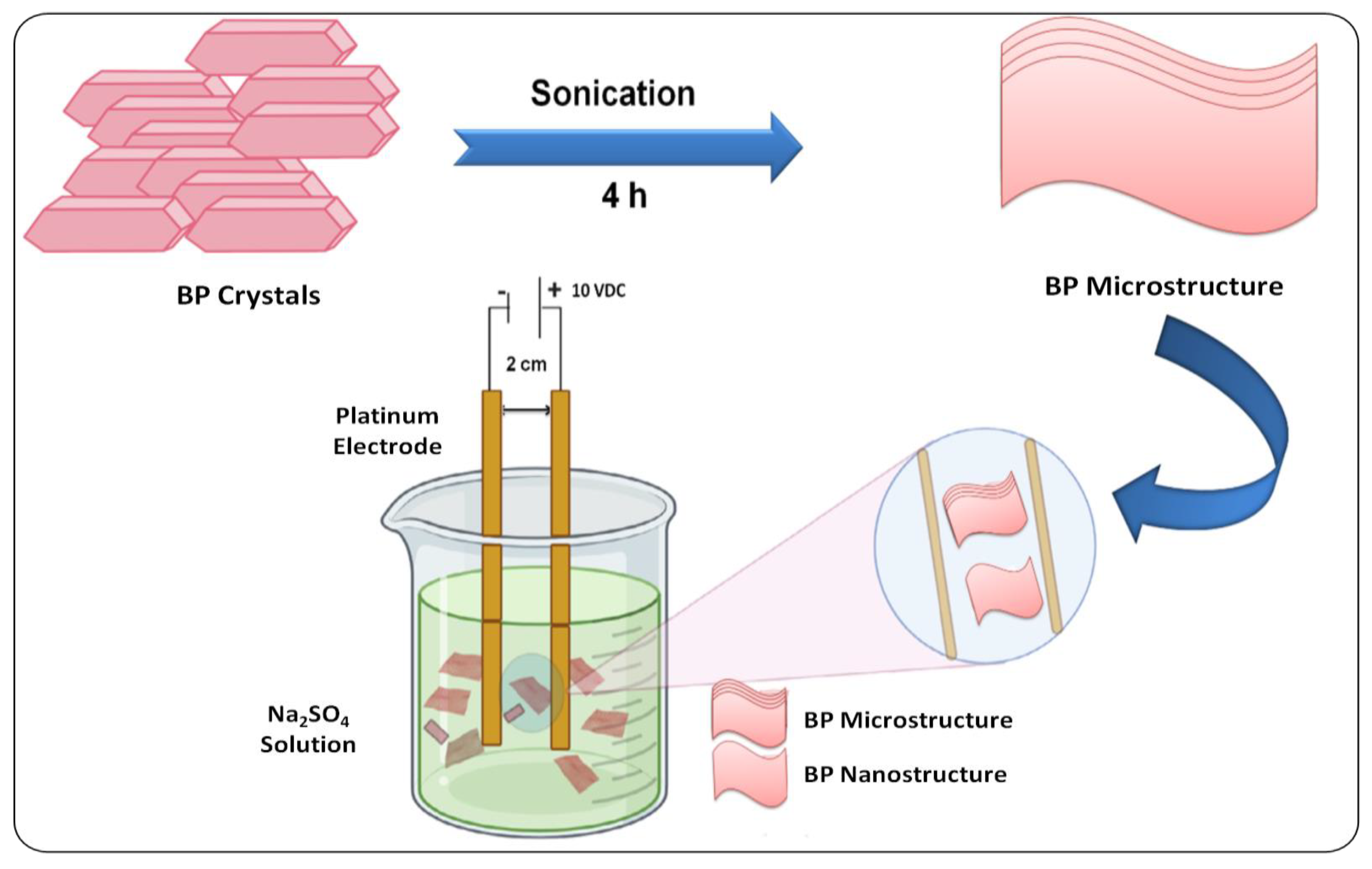 Biosensors 12 01009 g001