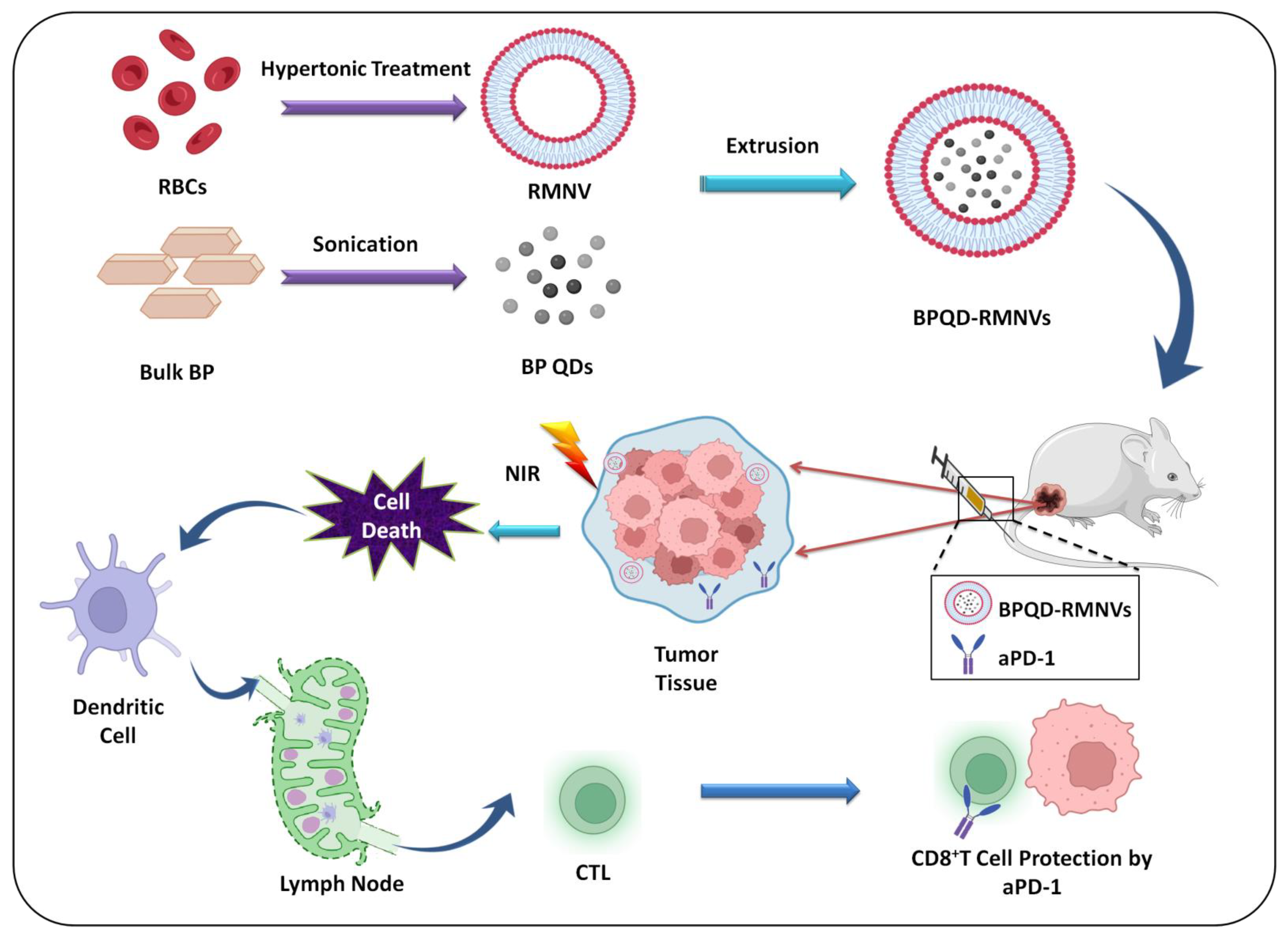 Biosensors 12 01009 g004