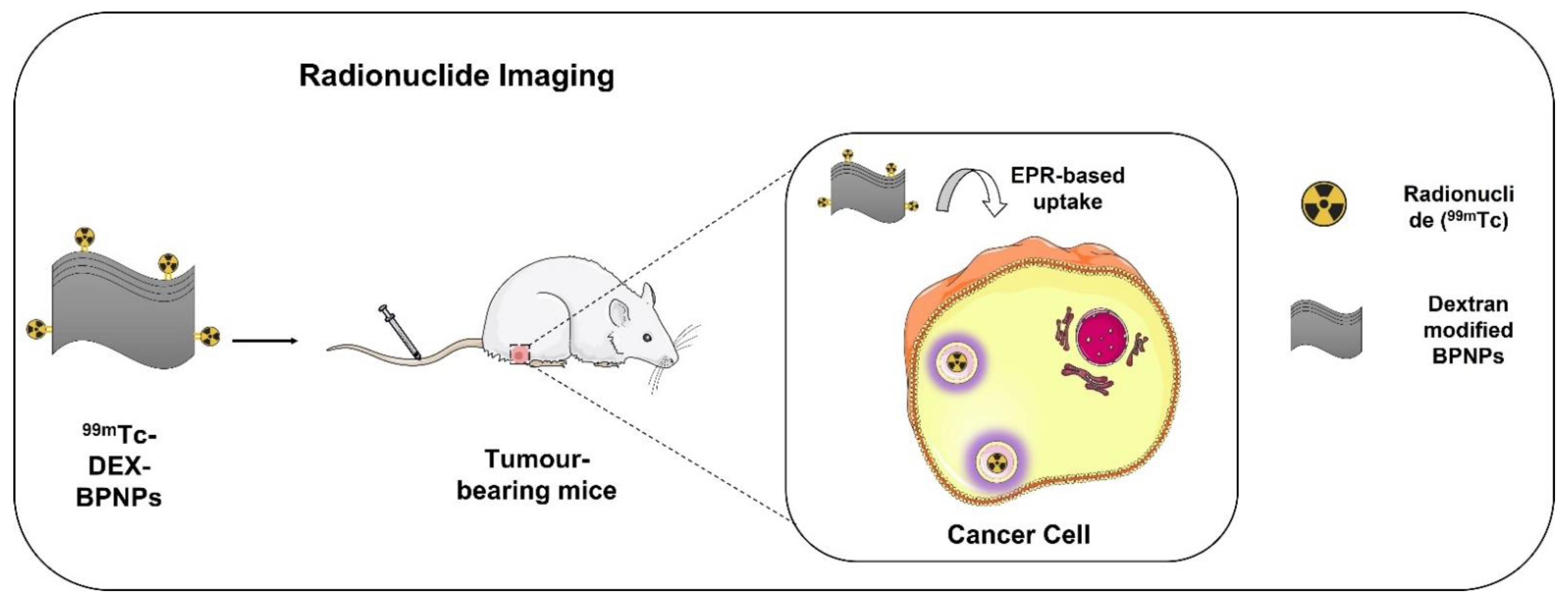 Biosensors 12 01009 g005