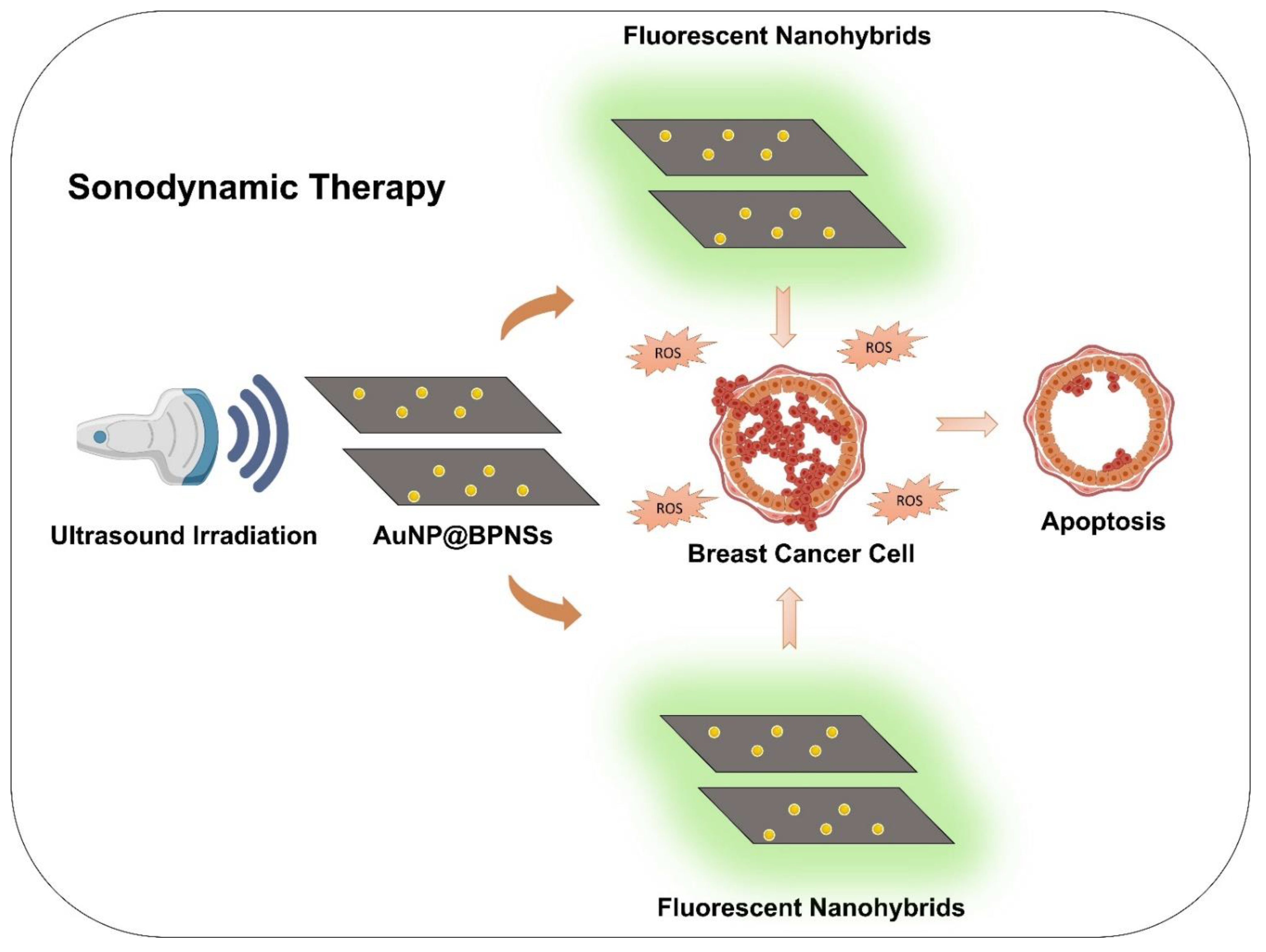 Biosensors 12 01009 g006