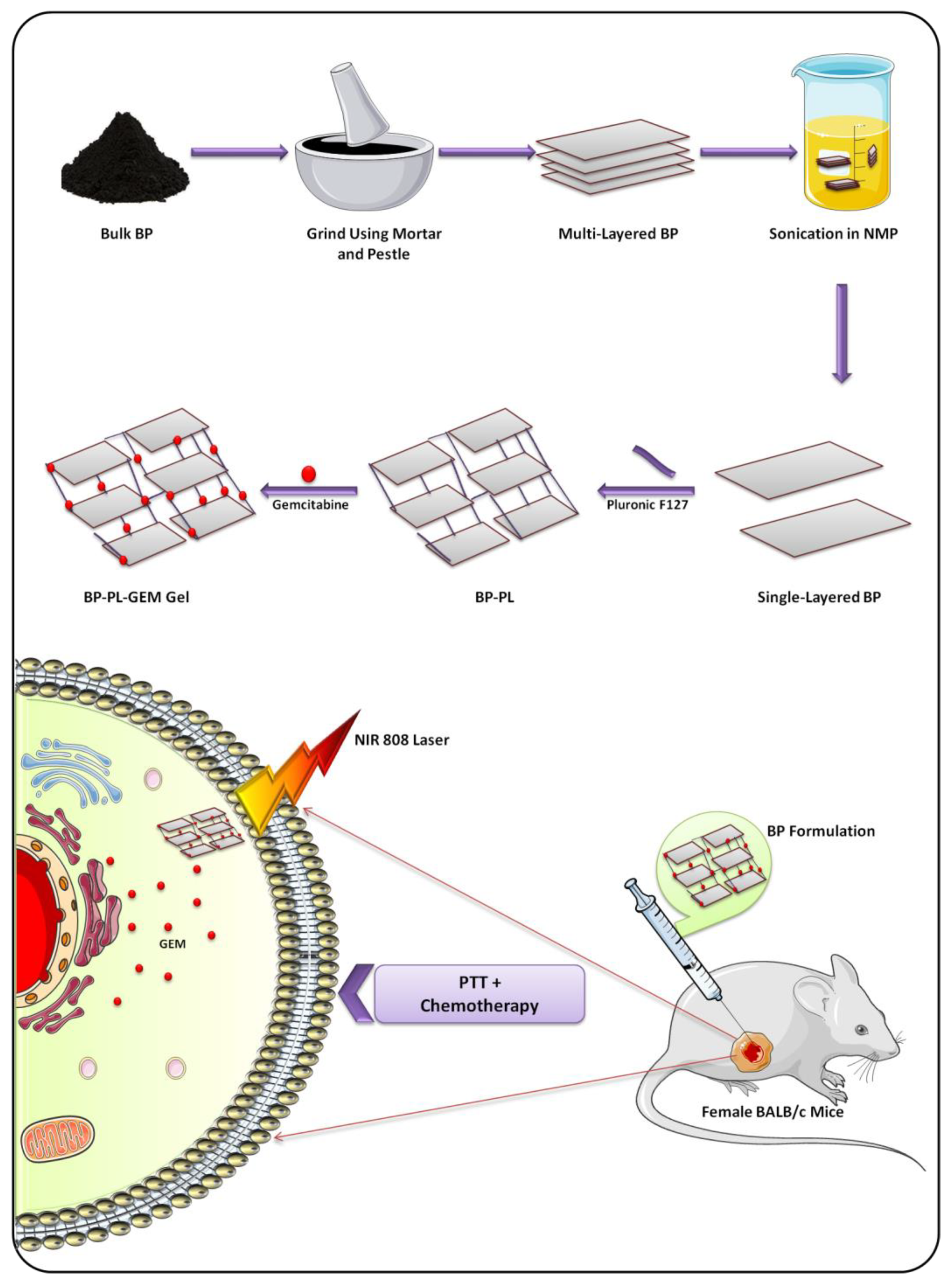 Biosensors 12 01009 g007