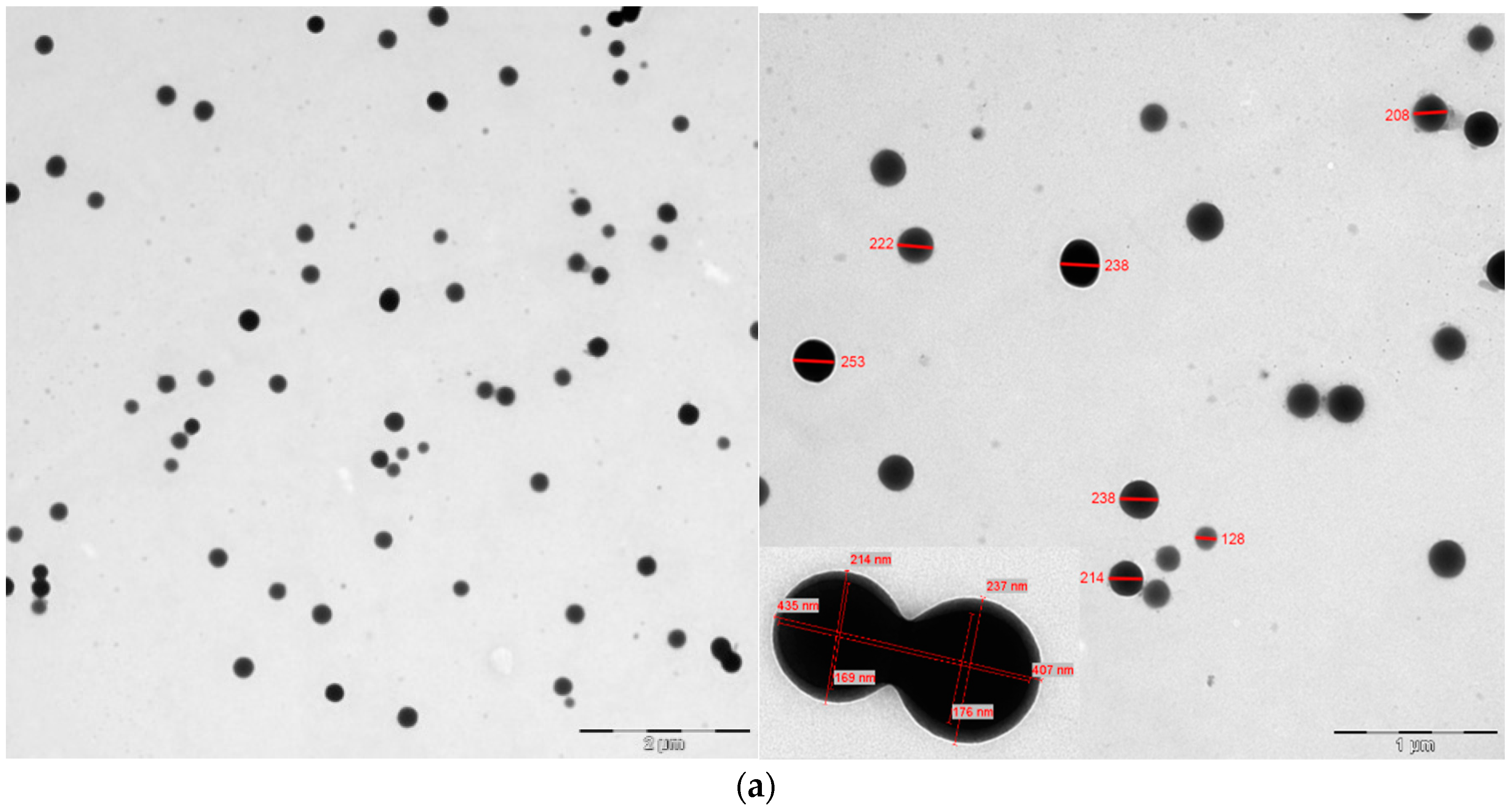 Biosensors 12 01011 g001a