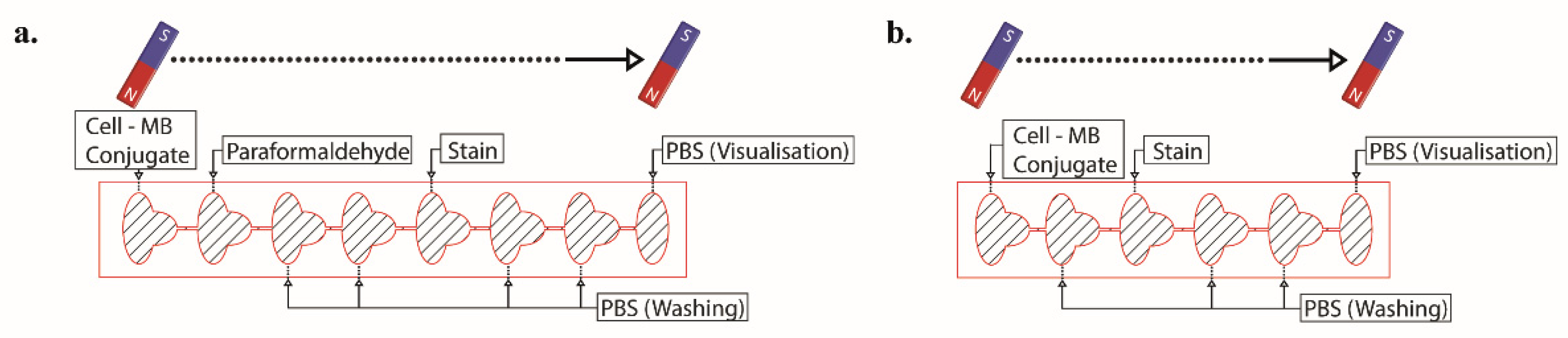 Biosensors 12 01013 g002