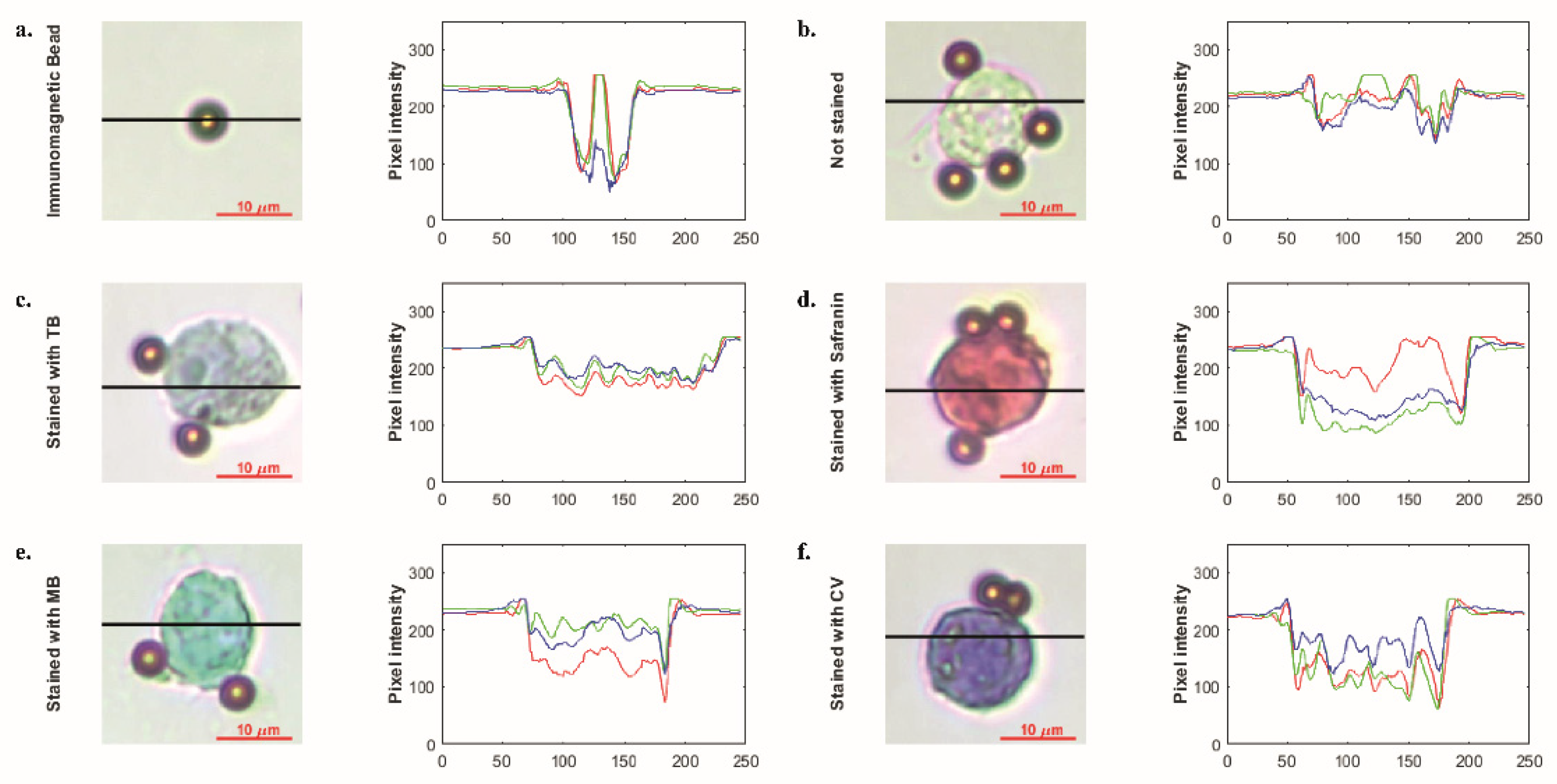 Biosensors 12 01013 g005