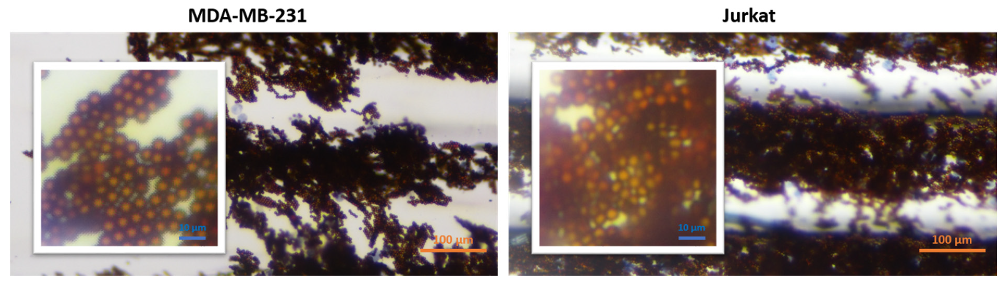 Biosensors 12 01013 g006