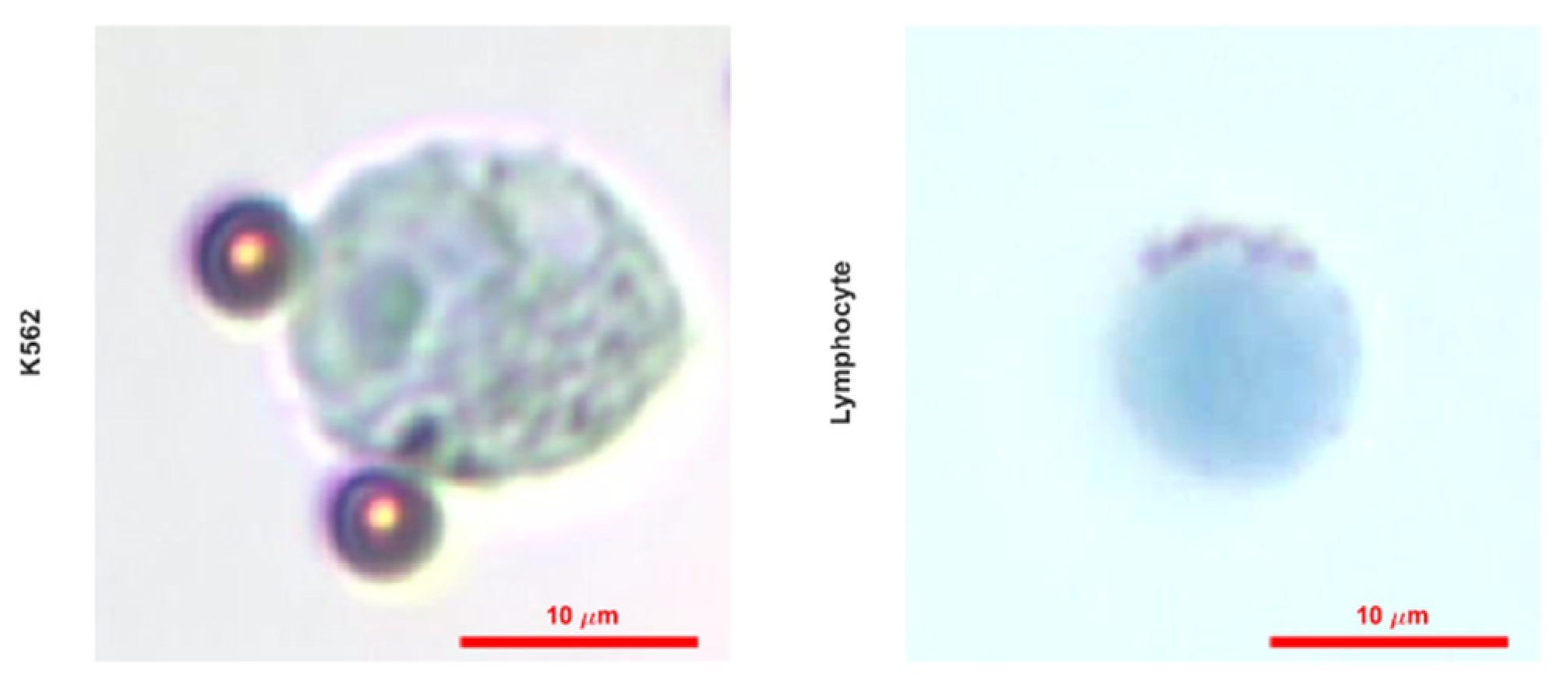 Biosensors 12 01013 g010