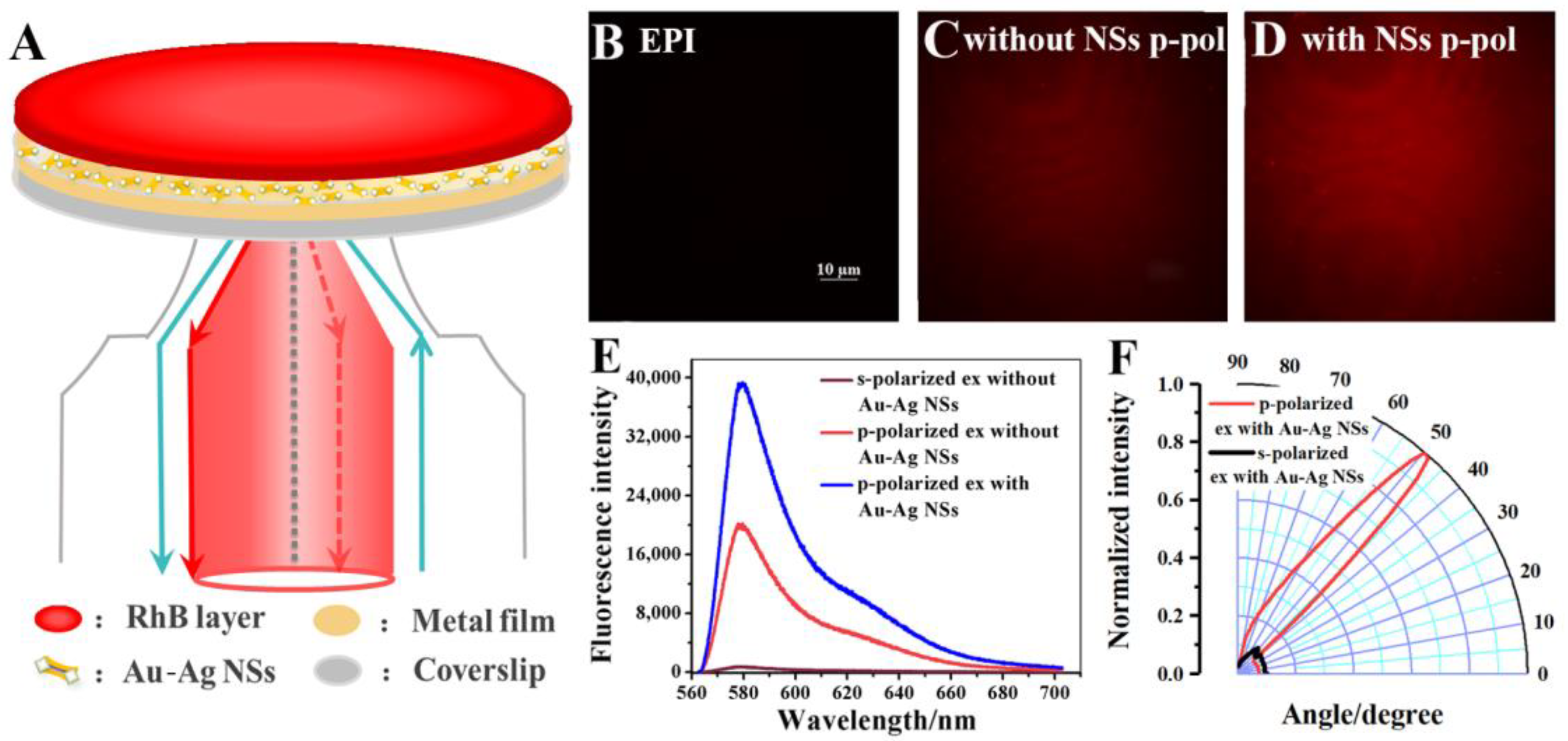 Biosensors 12 01014 g001