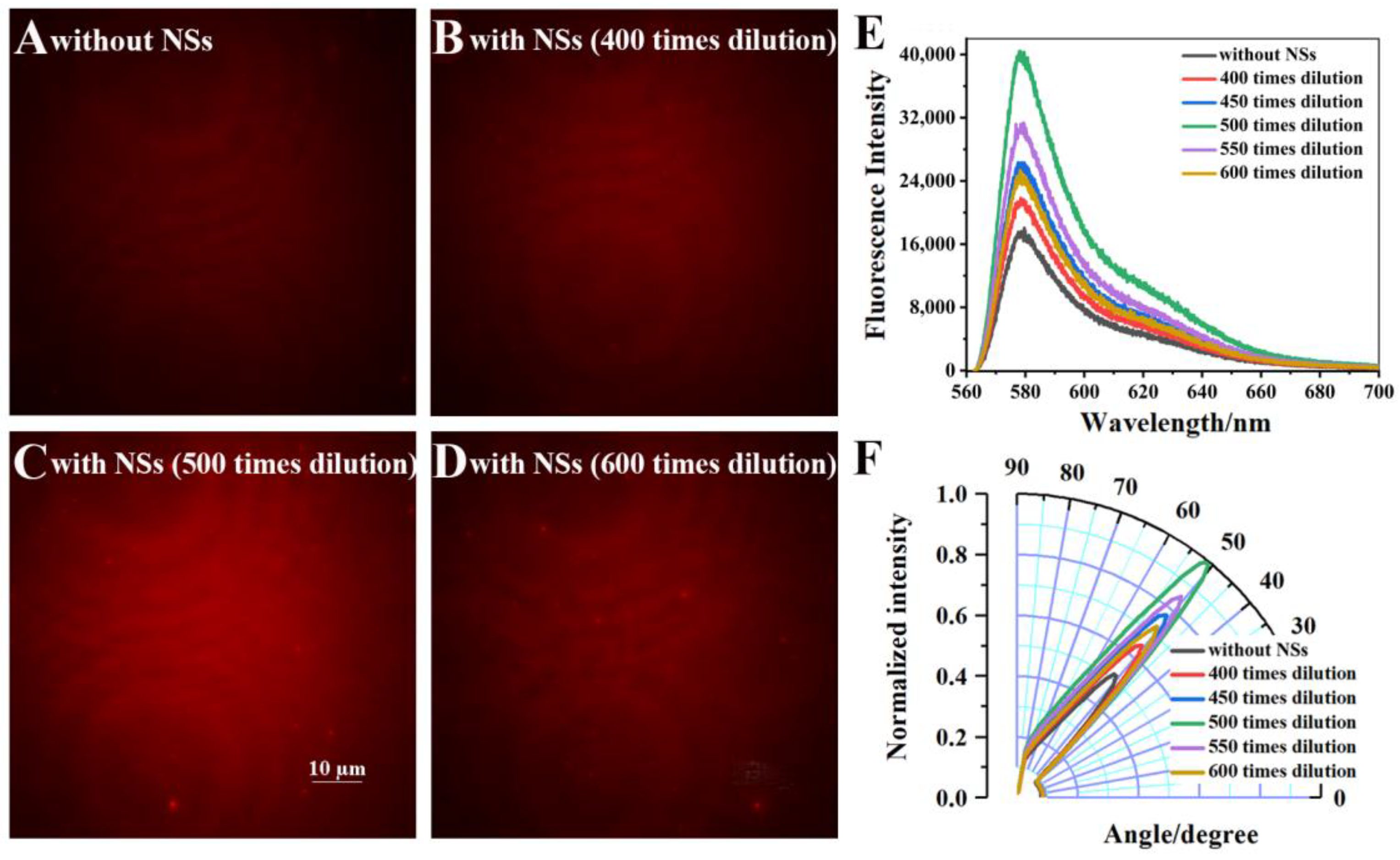 Biosensors 12 01014 g003
