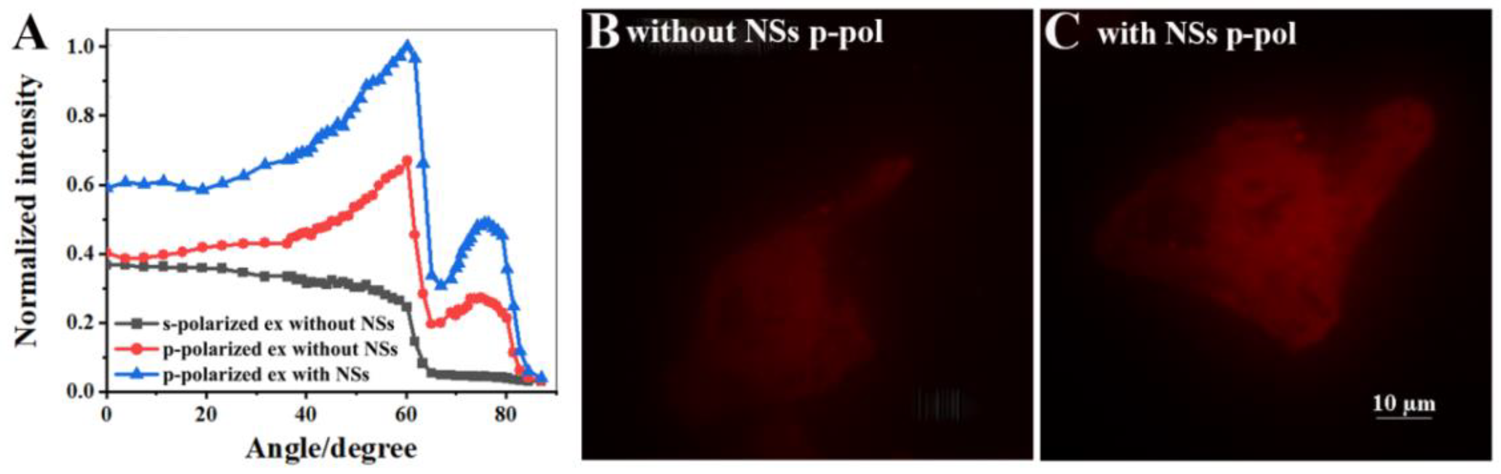 Biosensors 12 01014 g004