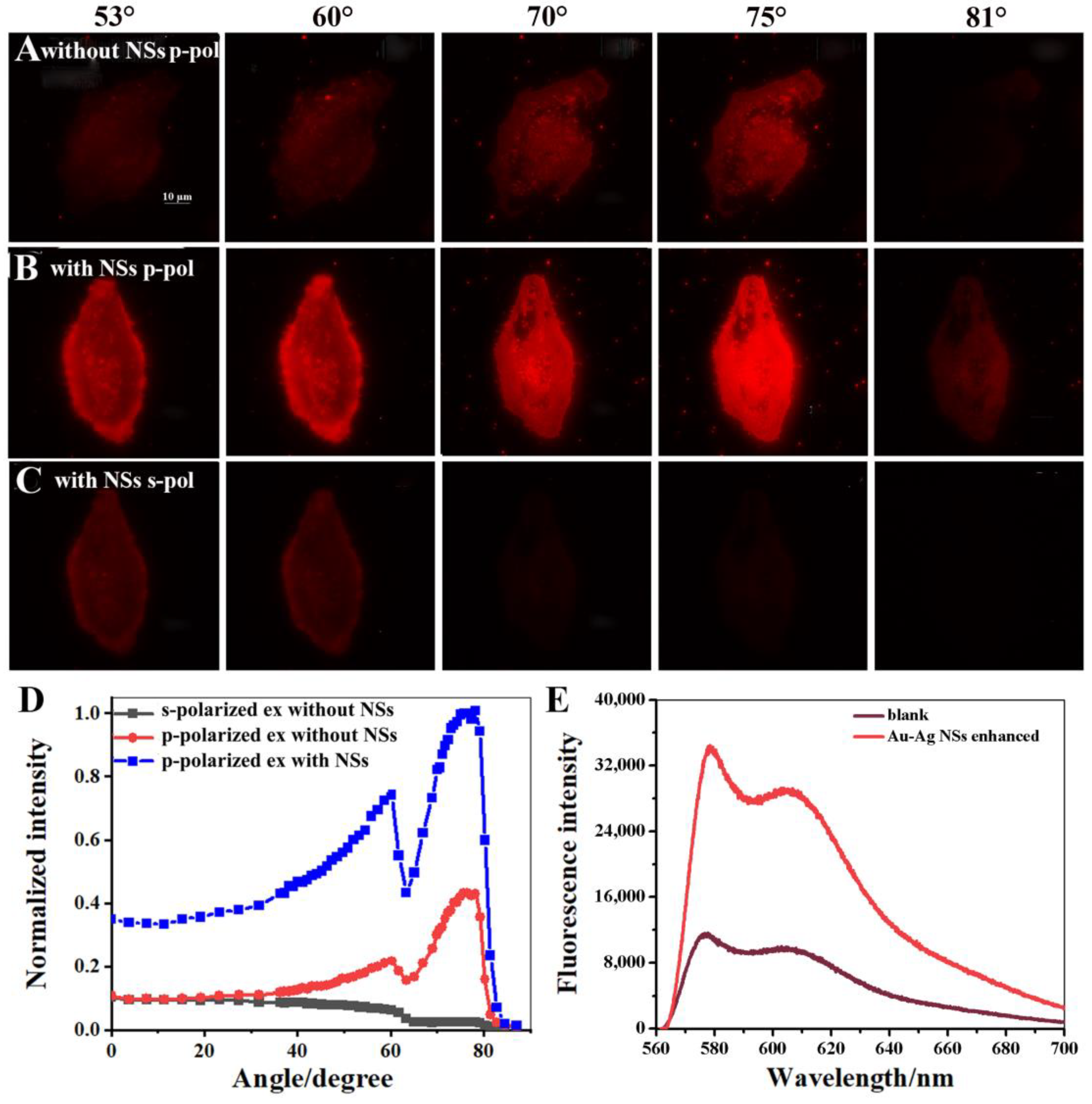 Biosensors 12 01014 g005