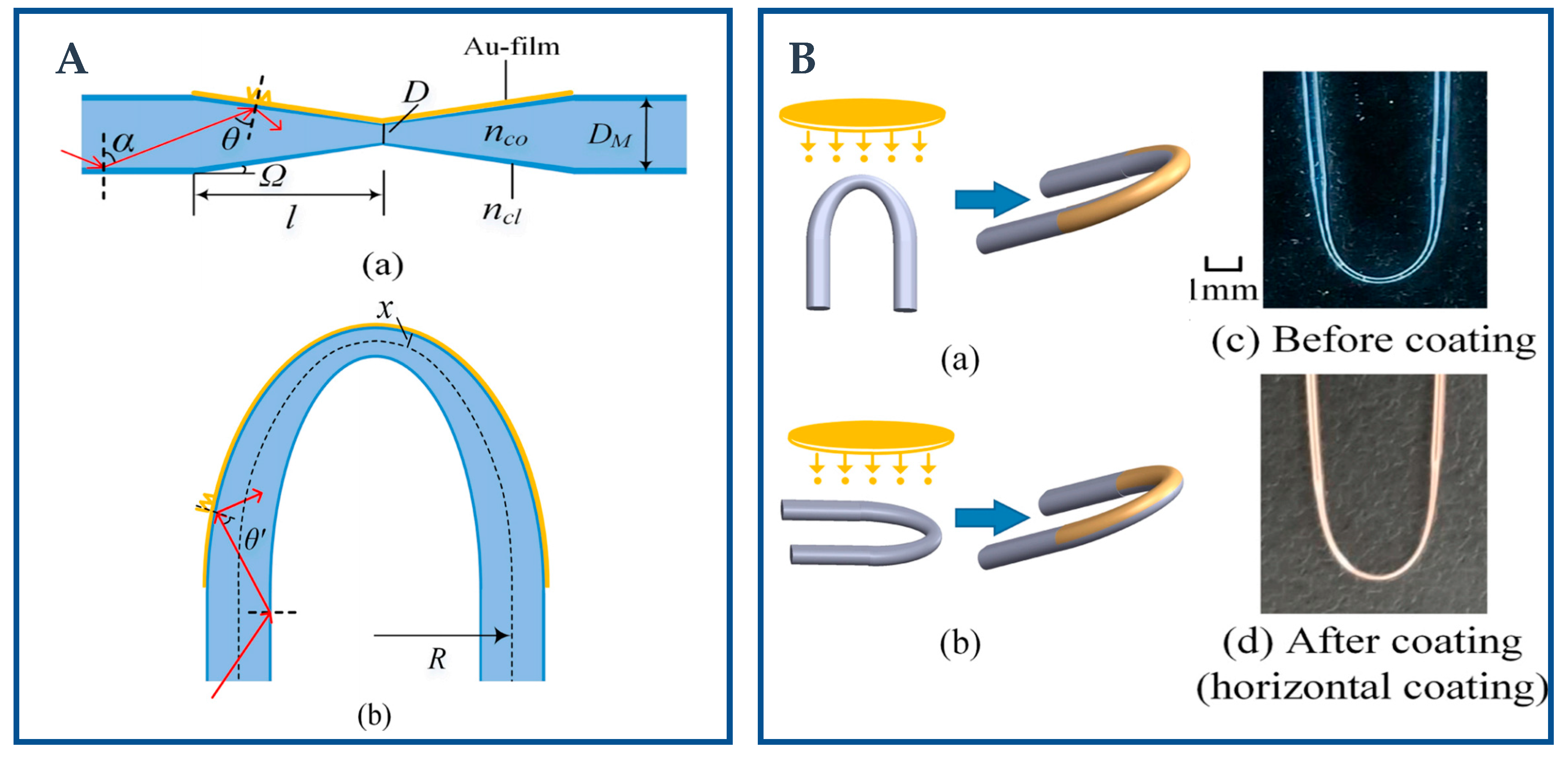 Biosensors 12 01016 g004 Biosensors 12 01016 g004