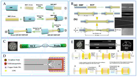 Biosensors 12 01016 g005