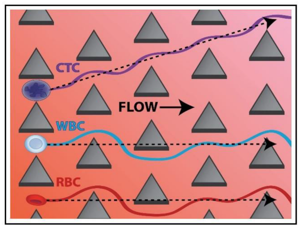 Biosensors 12 01023 g004 Biosensors 12 01023 g004