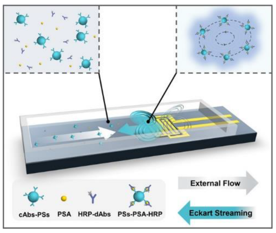 Biosensors 12 01023 g008 Biosensors 12 01023 g008