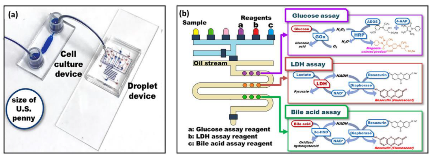 Biosensors 12 01023 g019 Biosensors 12 01023 g019