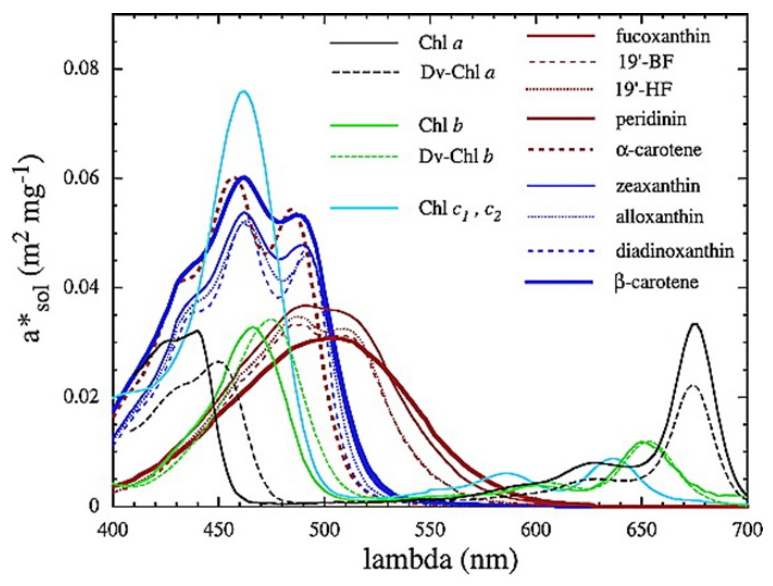 Biosensors 12 01024 g001