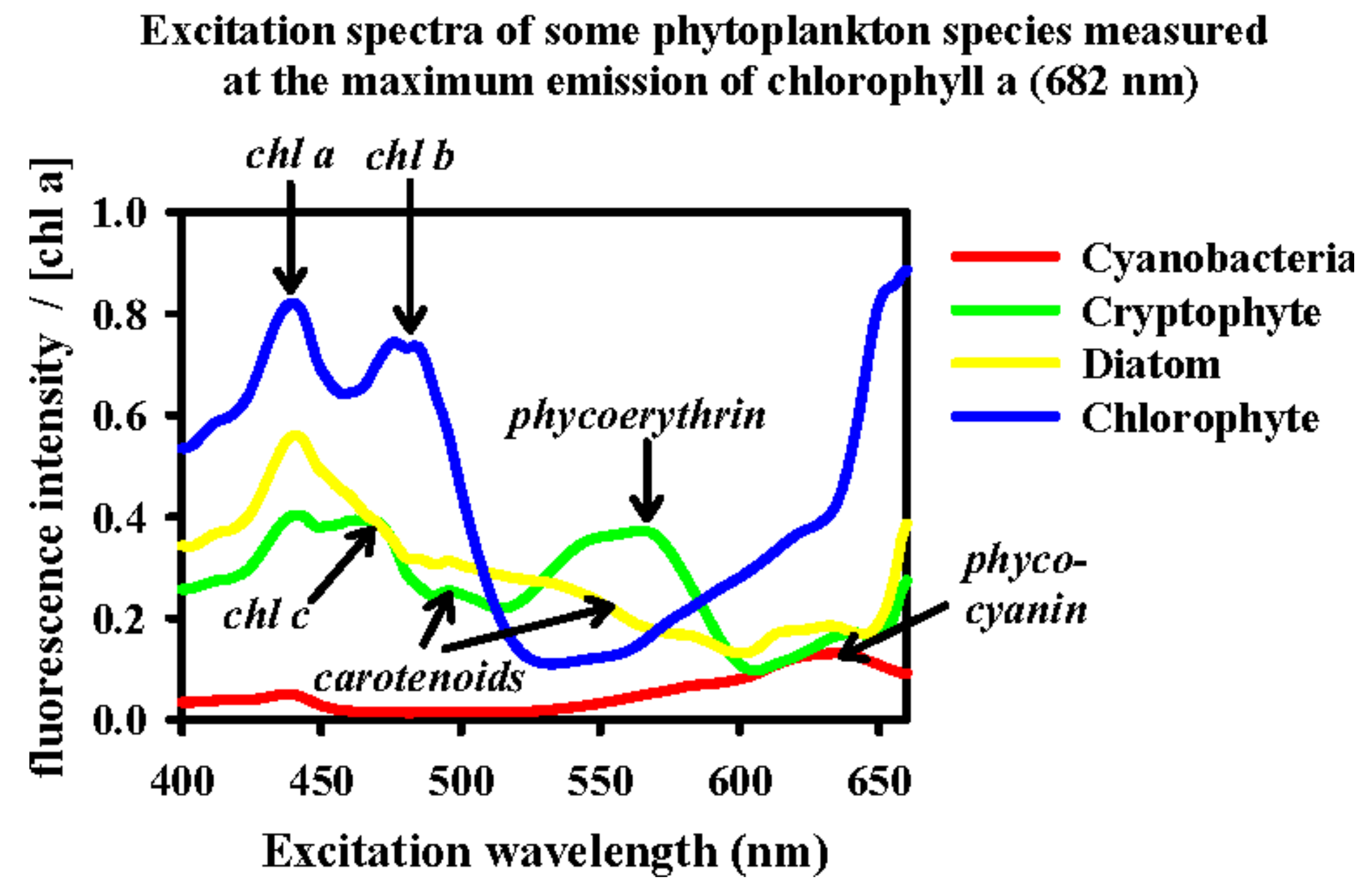Biosensors 12 01024 g003