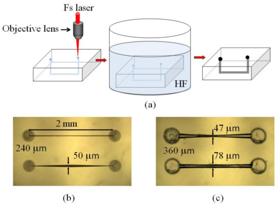Biosensors 12 01024 g004