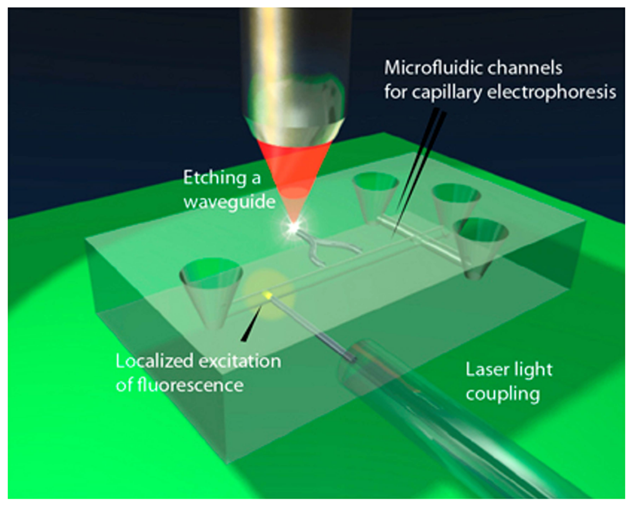 Biosensors 12 01024 g005