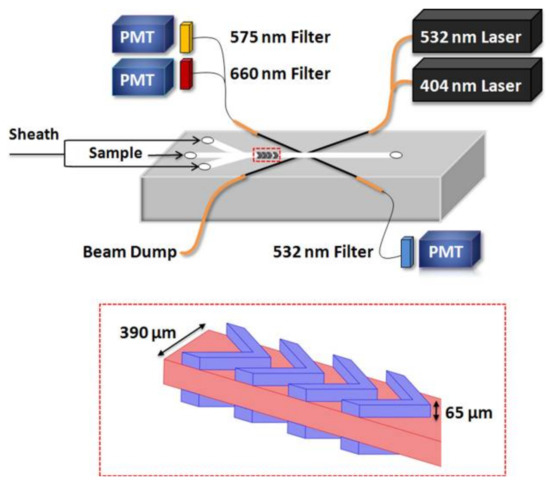 Biosensors 12 01024 g006