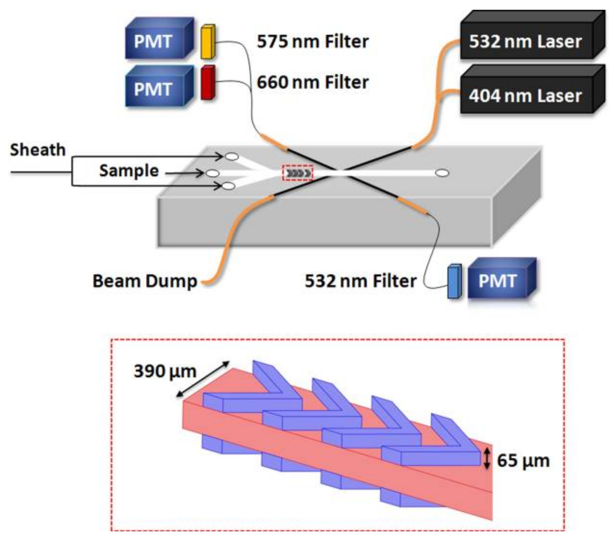 Biosensors 12 01024 g006
