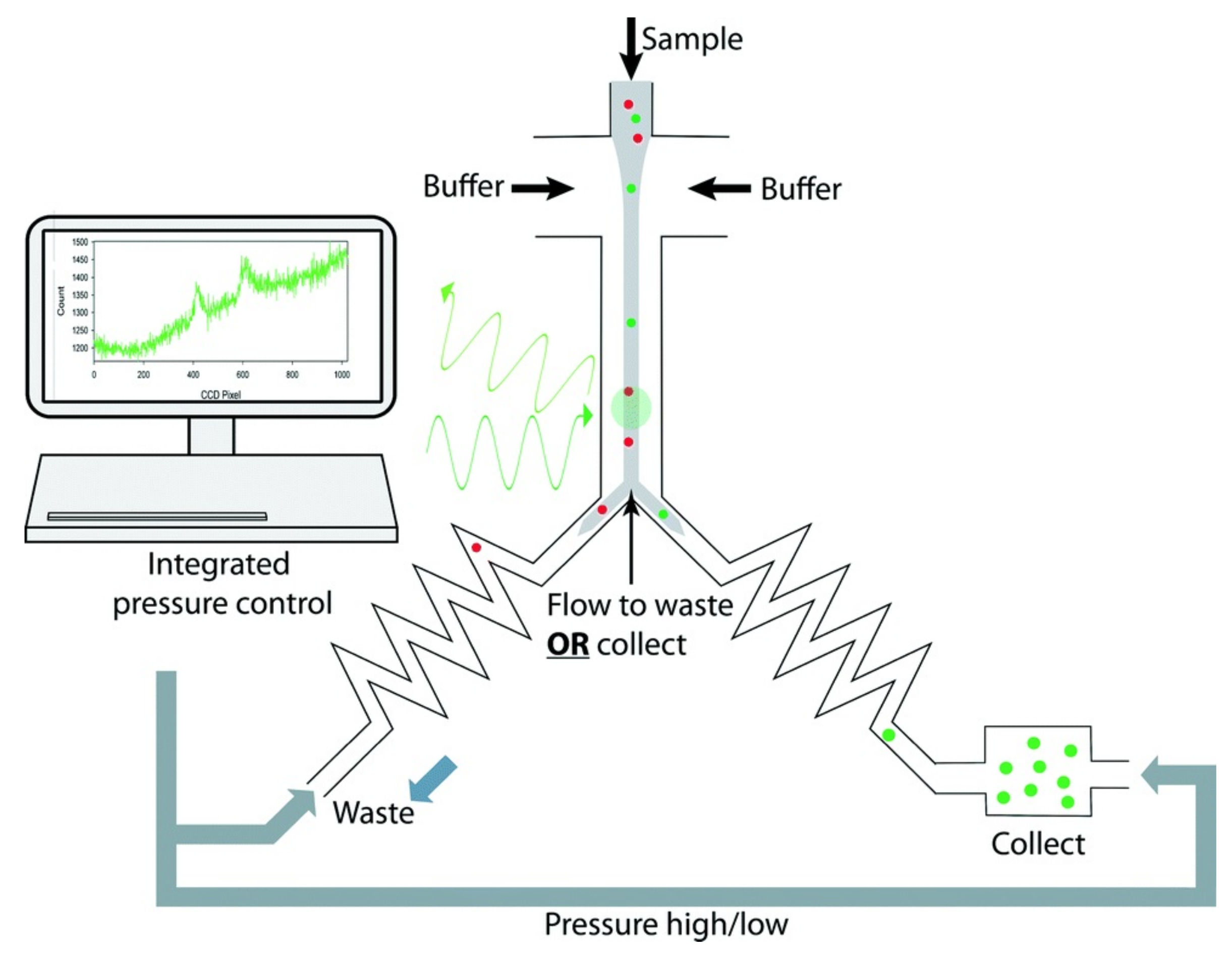 Biosensors 12 01024 g008