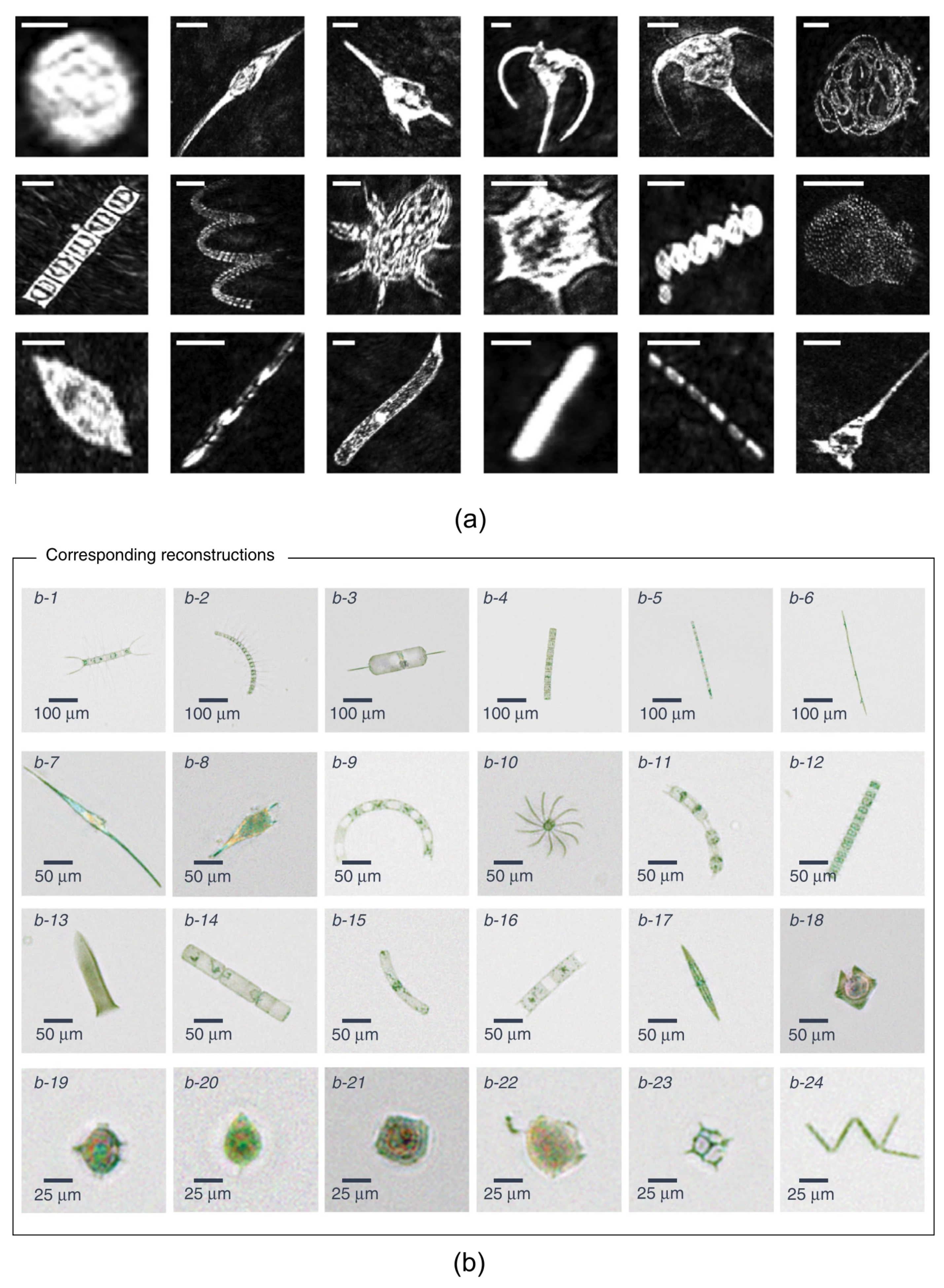 Biosensors 12 01024 g011