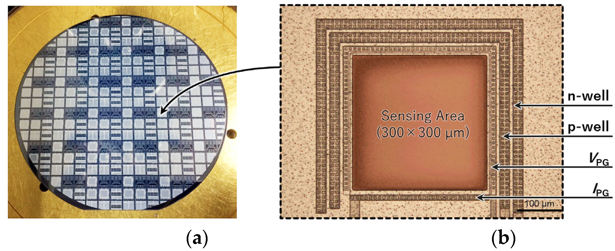 Biosensors 12 01033 g005