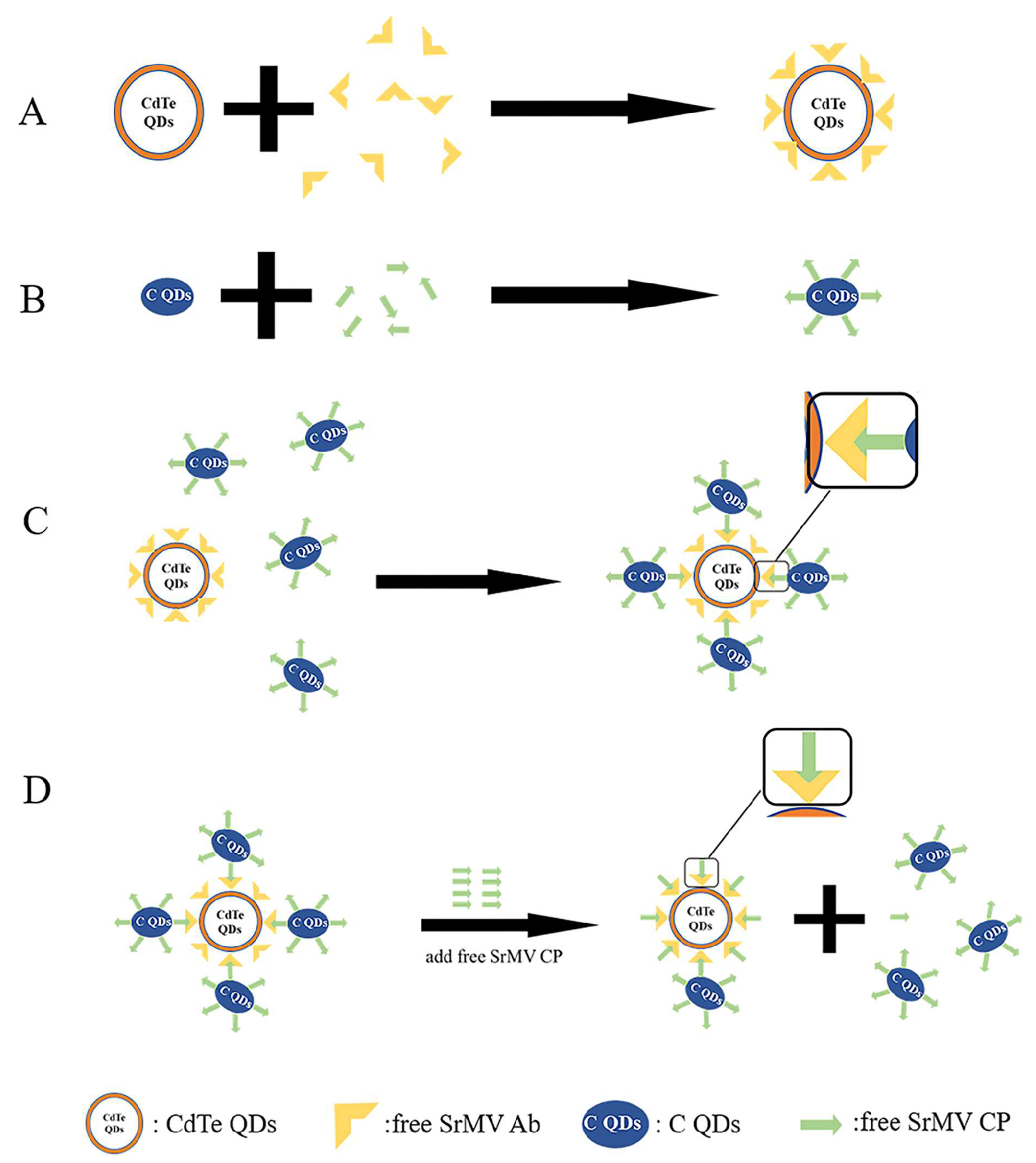 Biosensors 12 01034 sch001