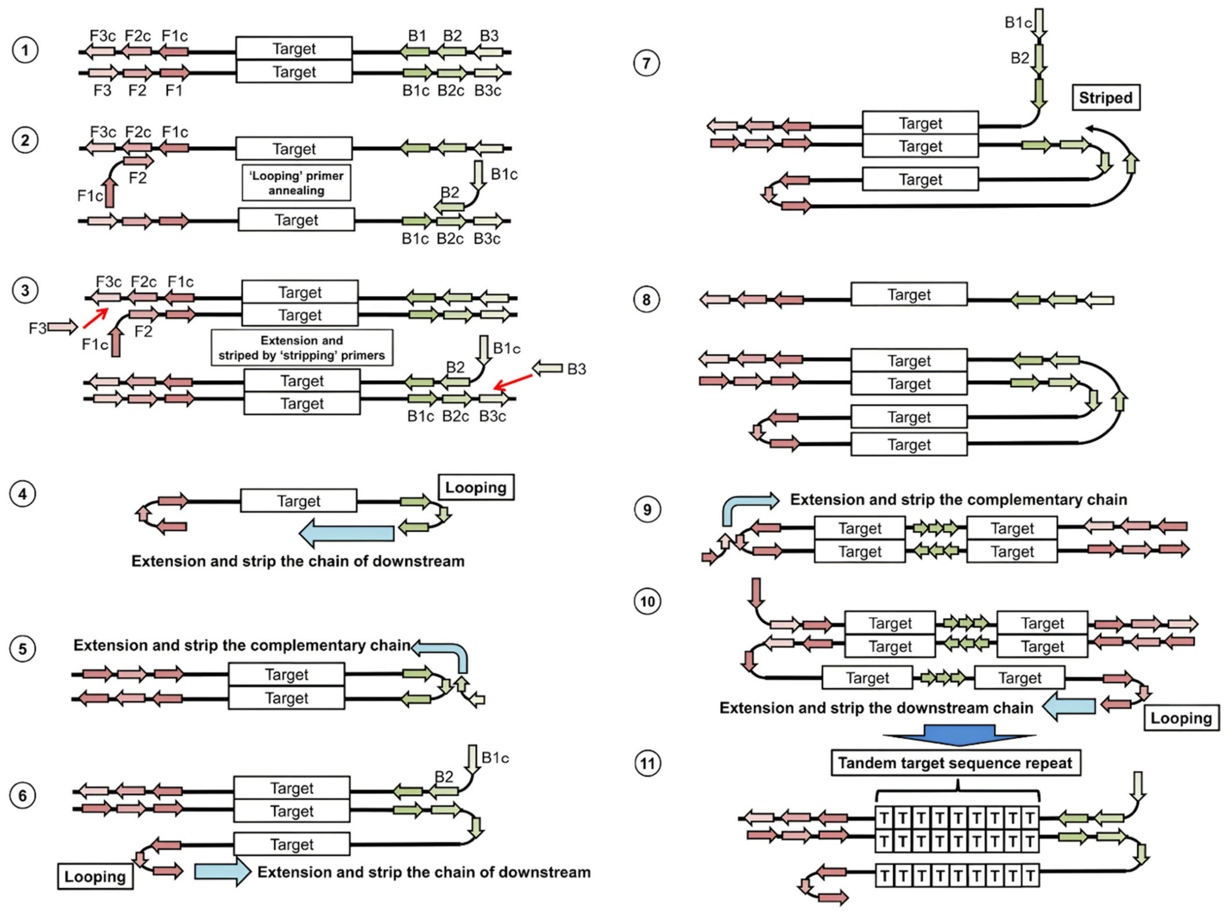 Biosensors 12 01035 g001