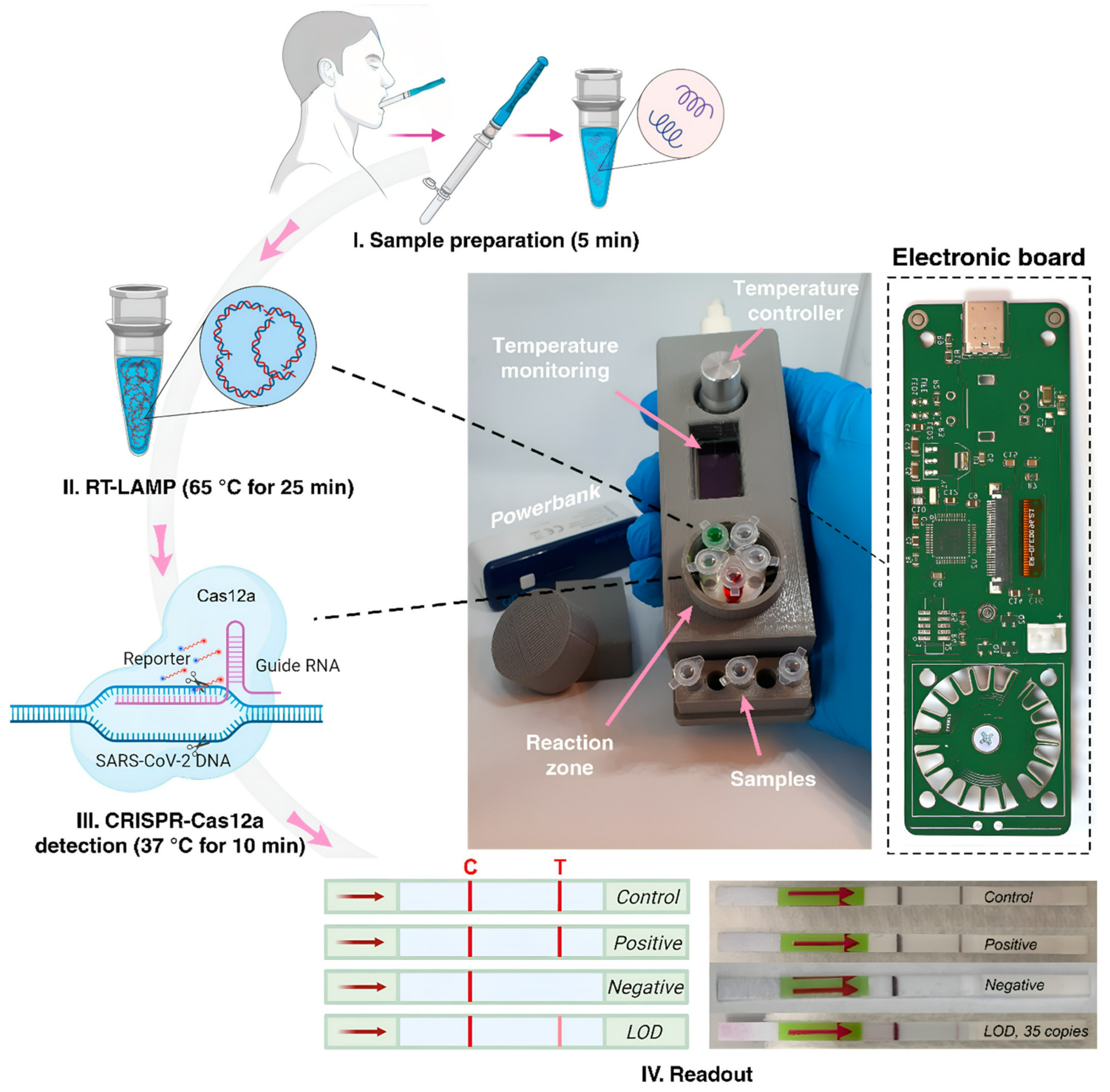 Biosensors 12 01035 g003