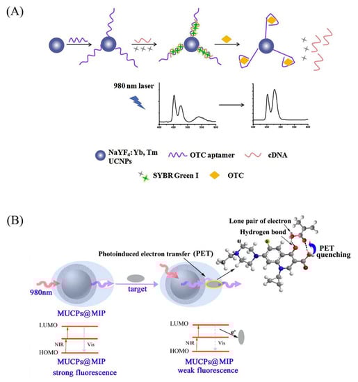 Biosensors 12 01036 g007