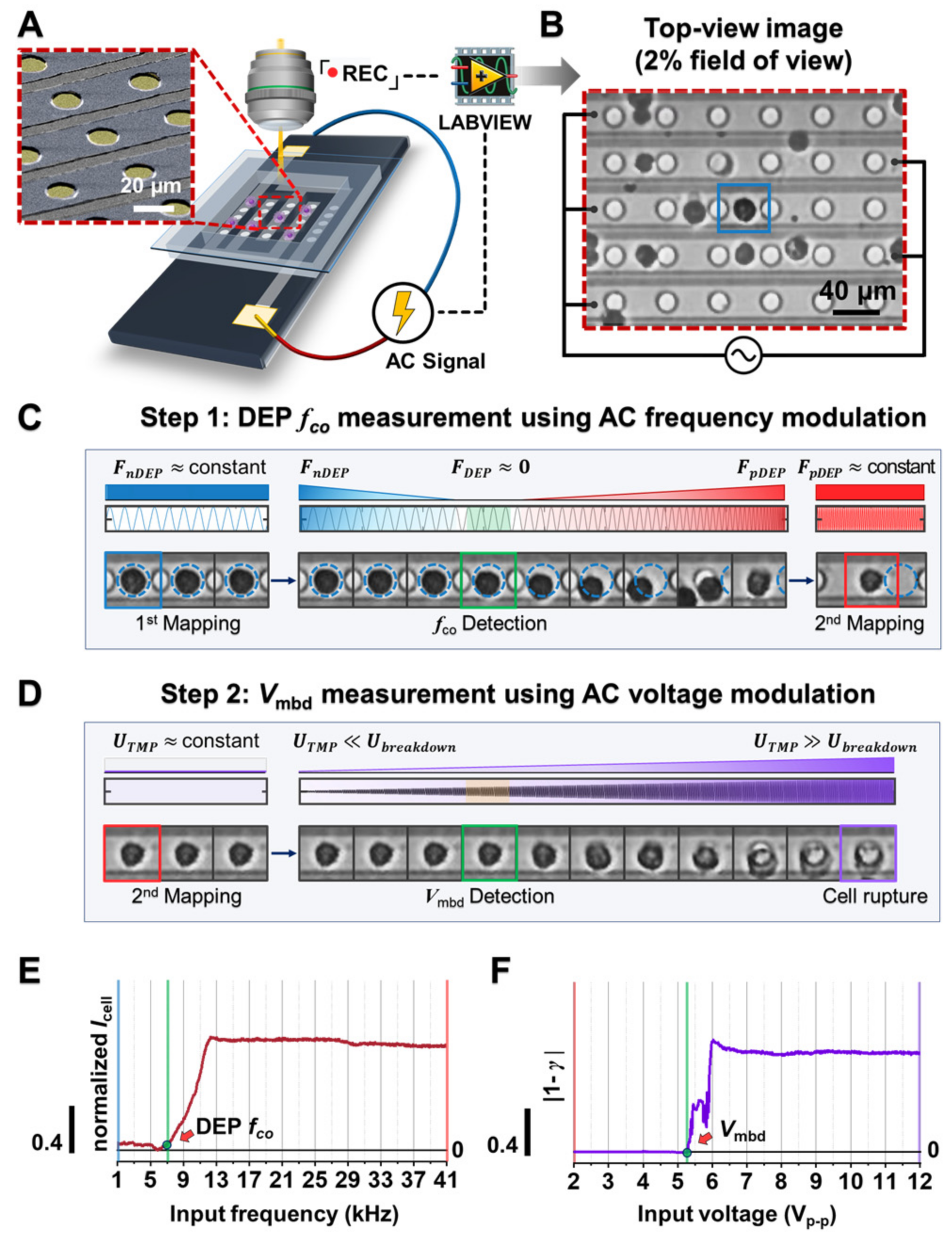 Biosensors 12 01037 g001