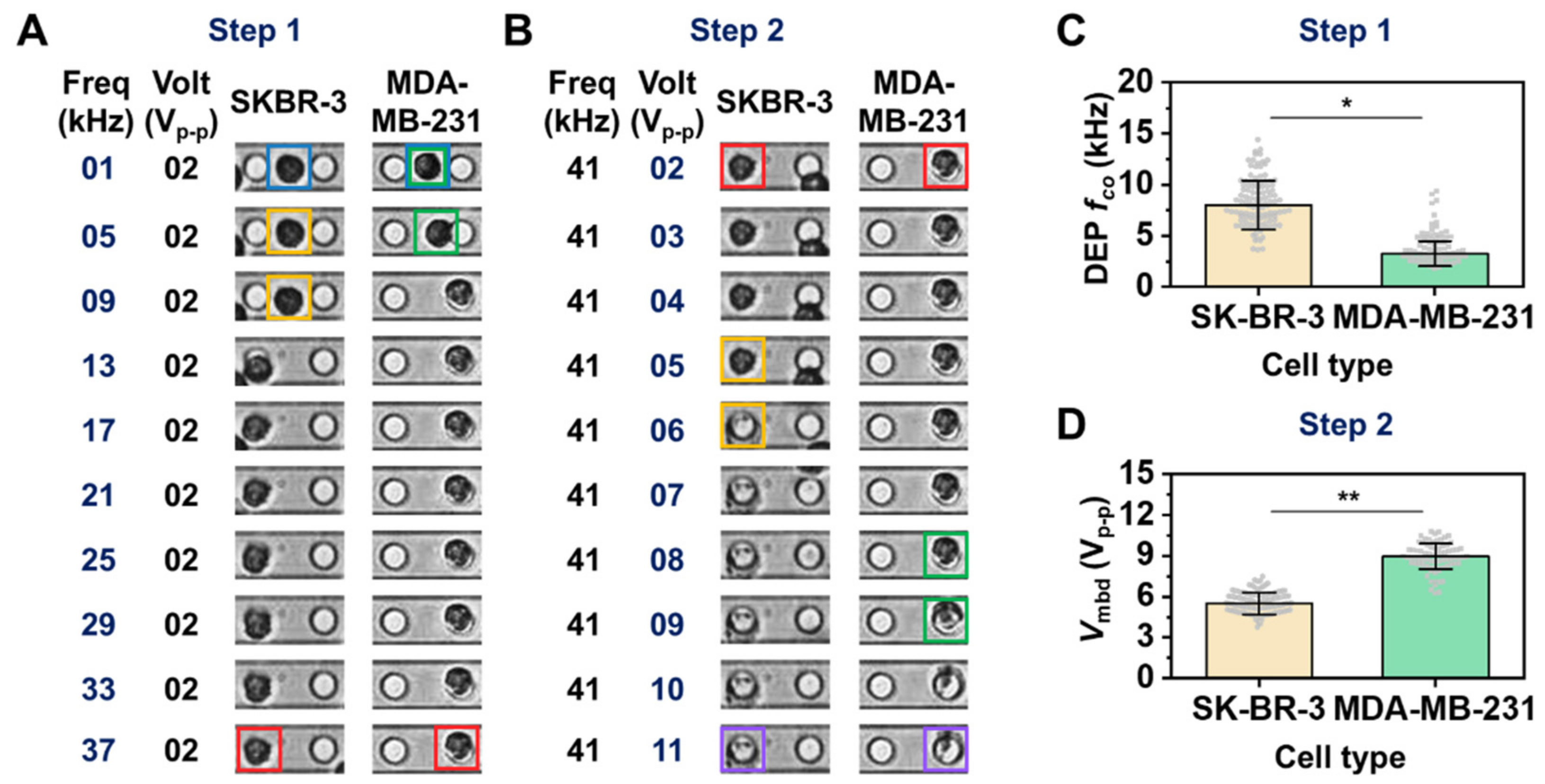 Biosensors 12 01037 g002