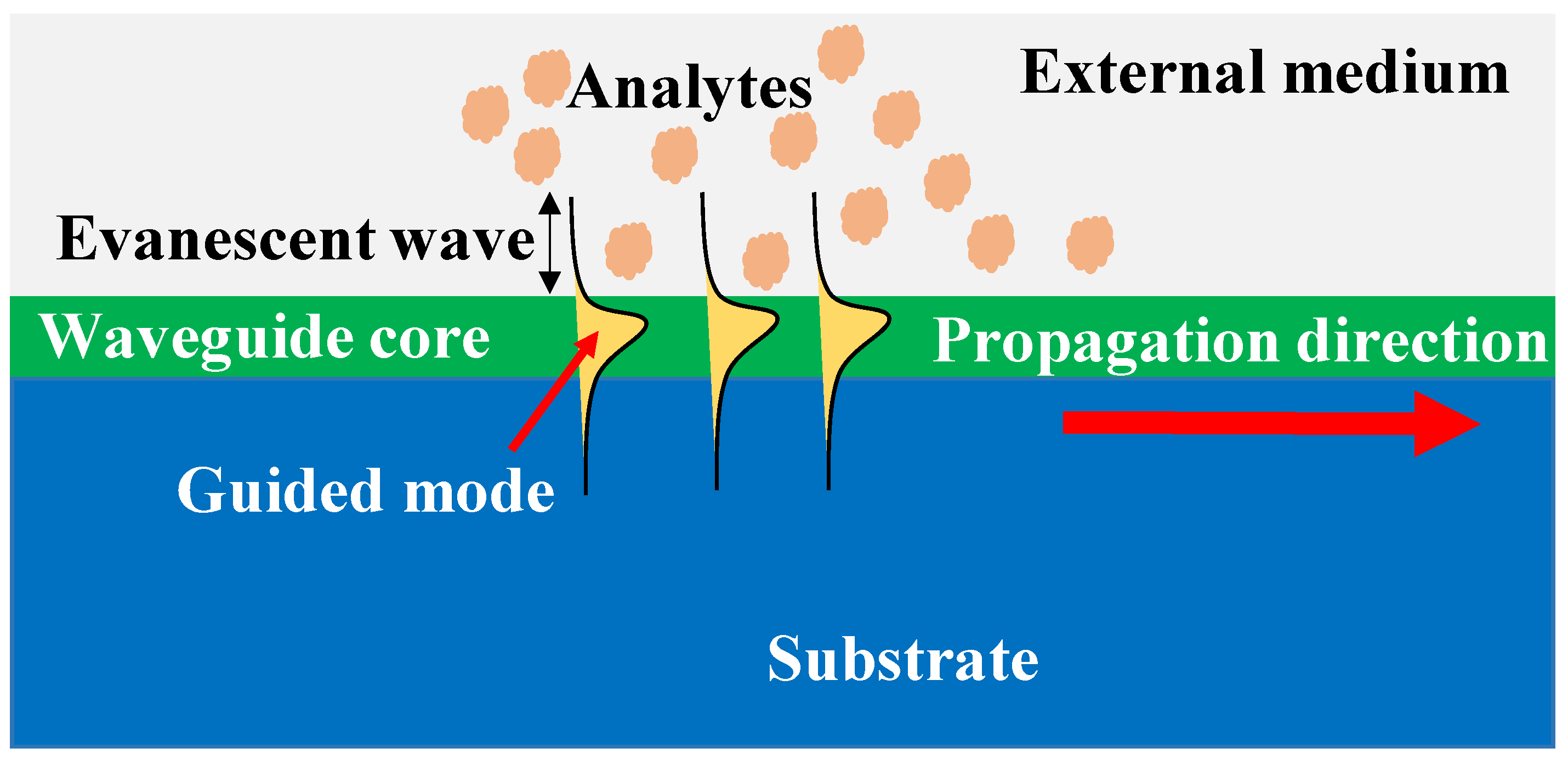 Biosensors 12 01038 g001