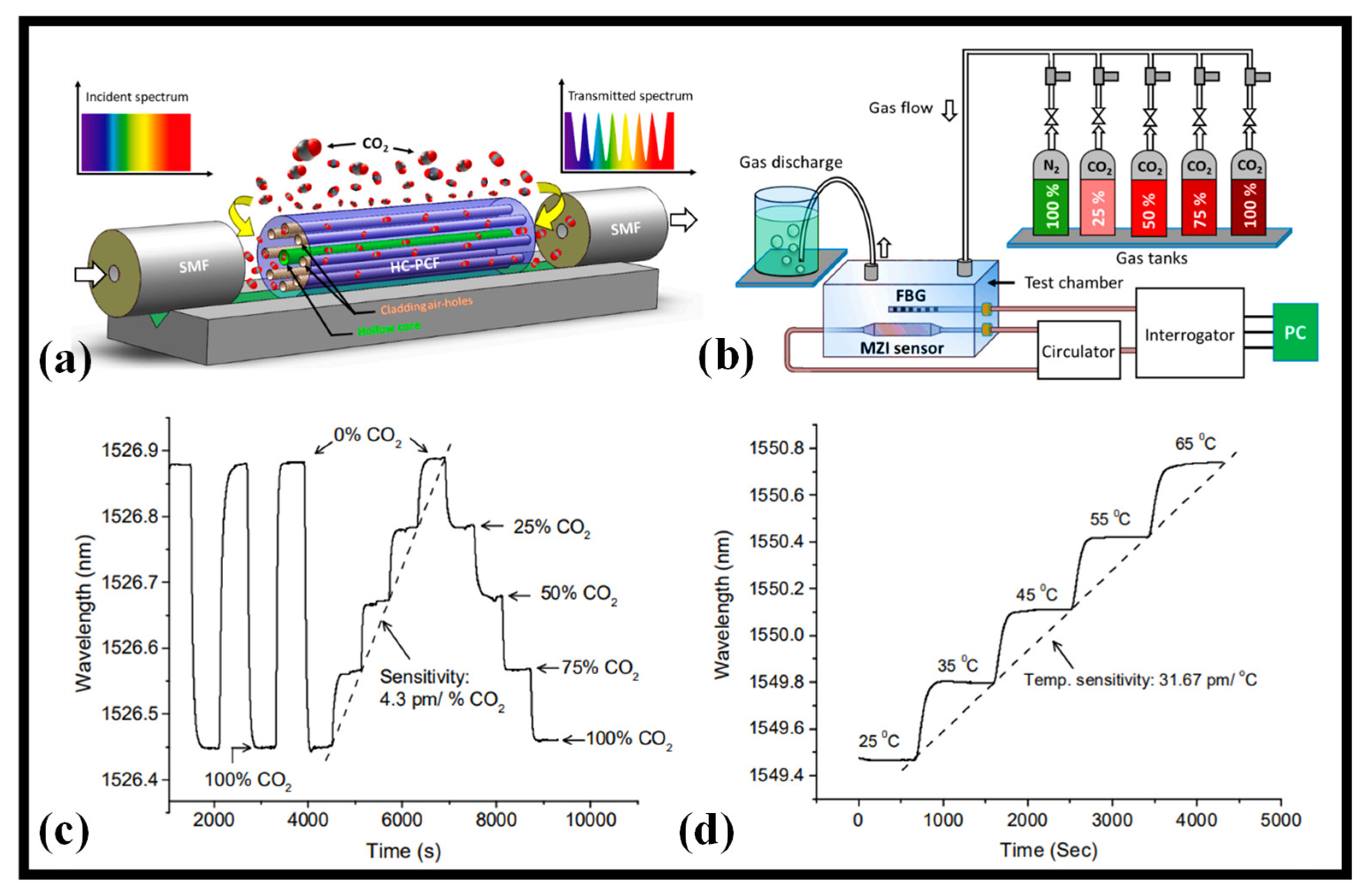 Biosensors 12 01038 g003