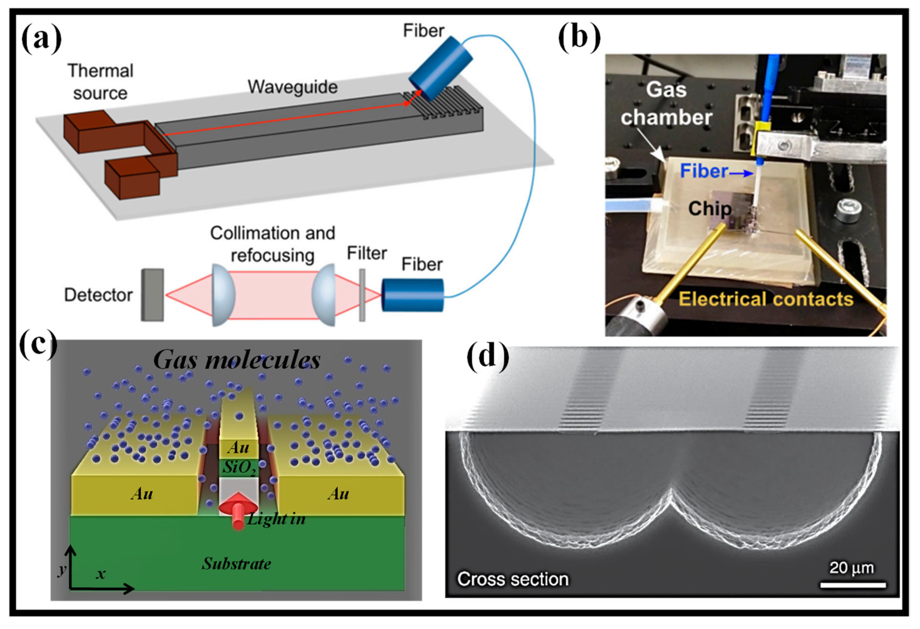 Biosensors 12 01038 g004