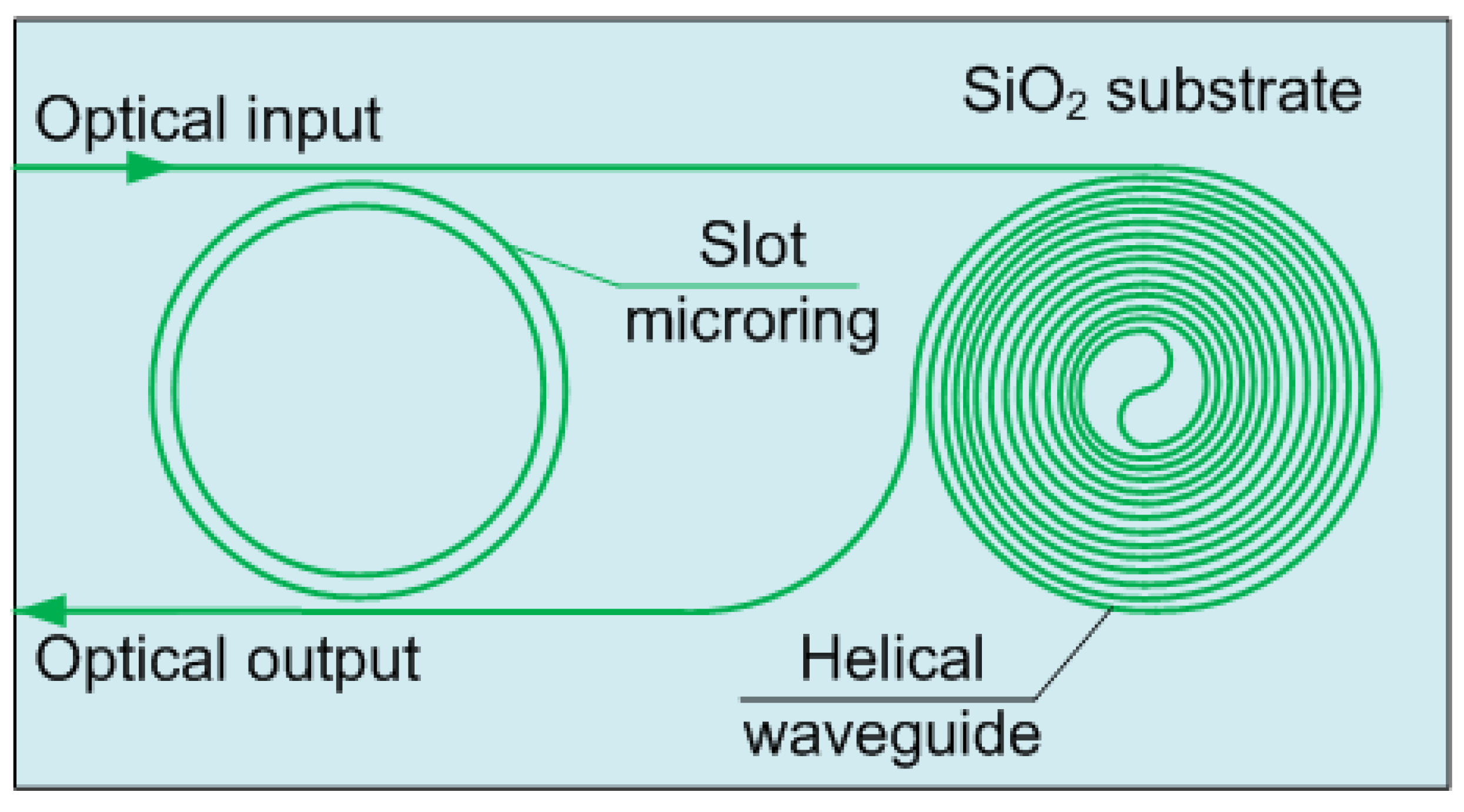 Biosensors 12 01038 g005