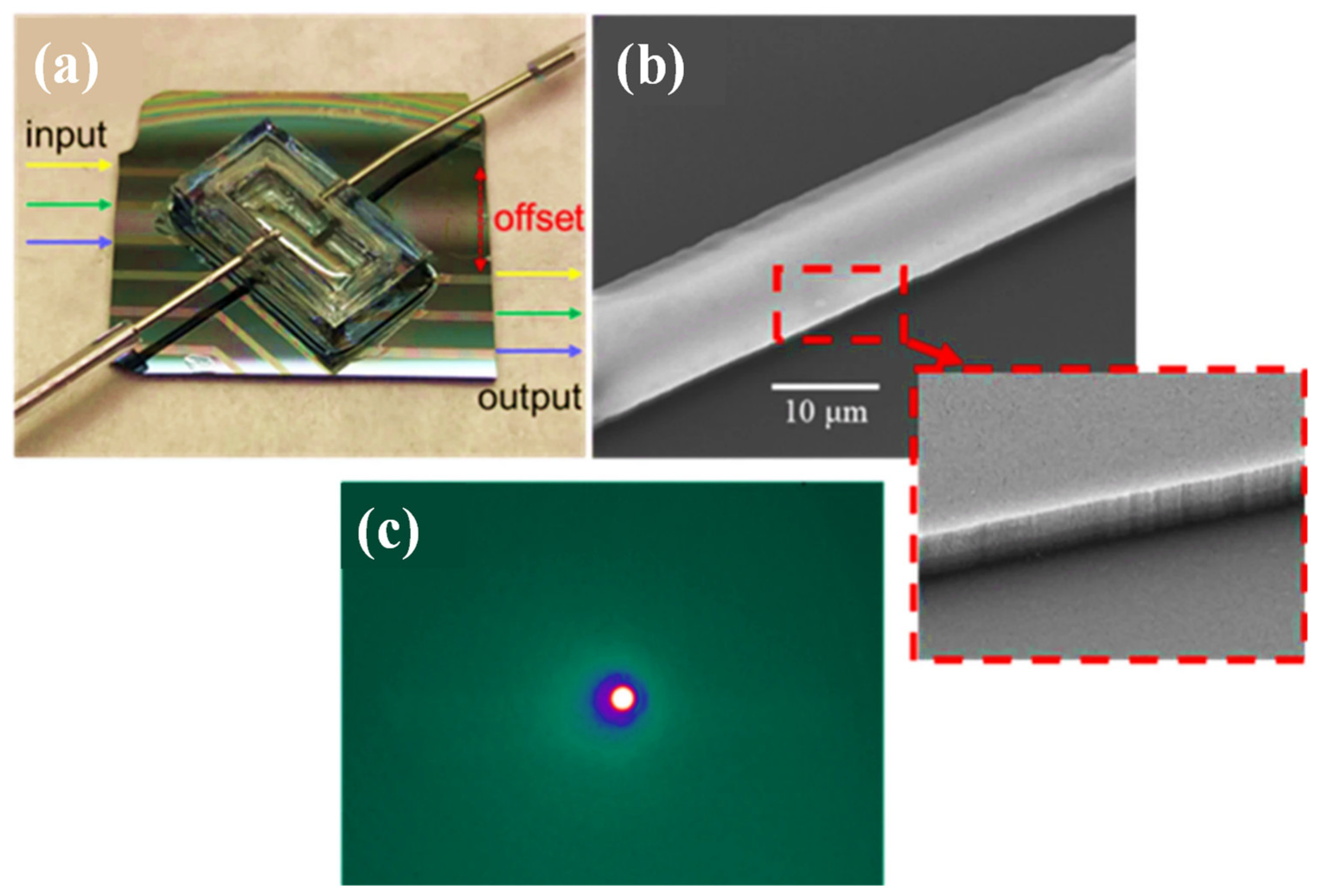 Biosensors 12 01038 g008