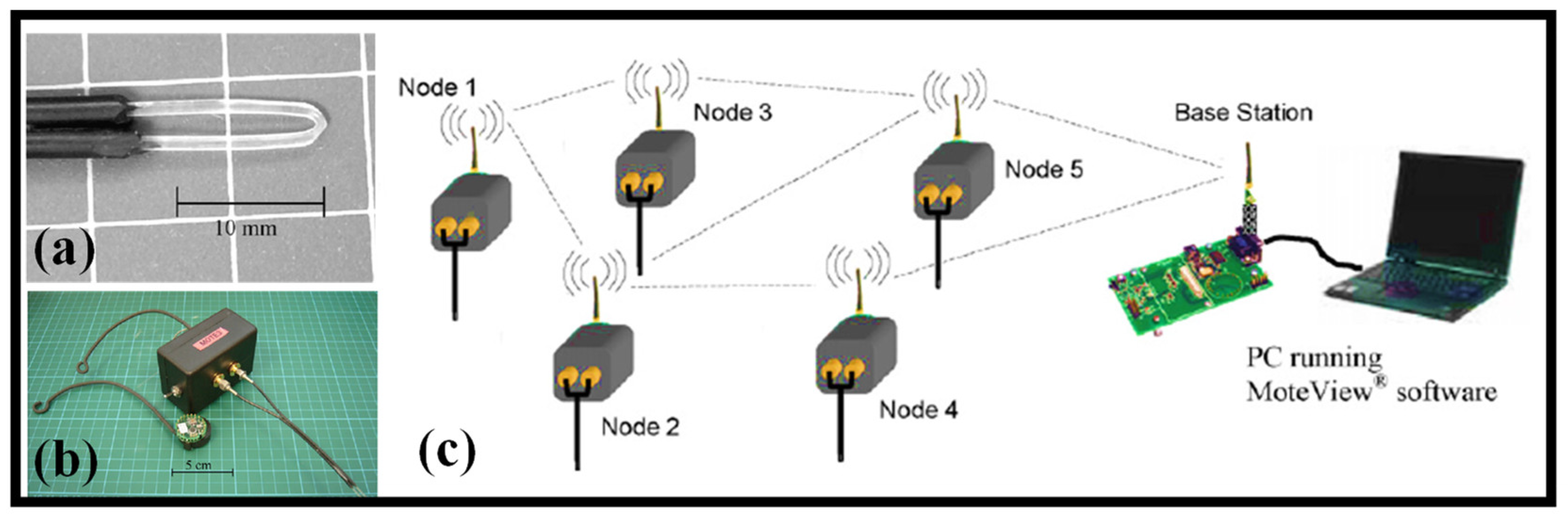 Biosensors 12 01038 g010