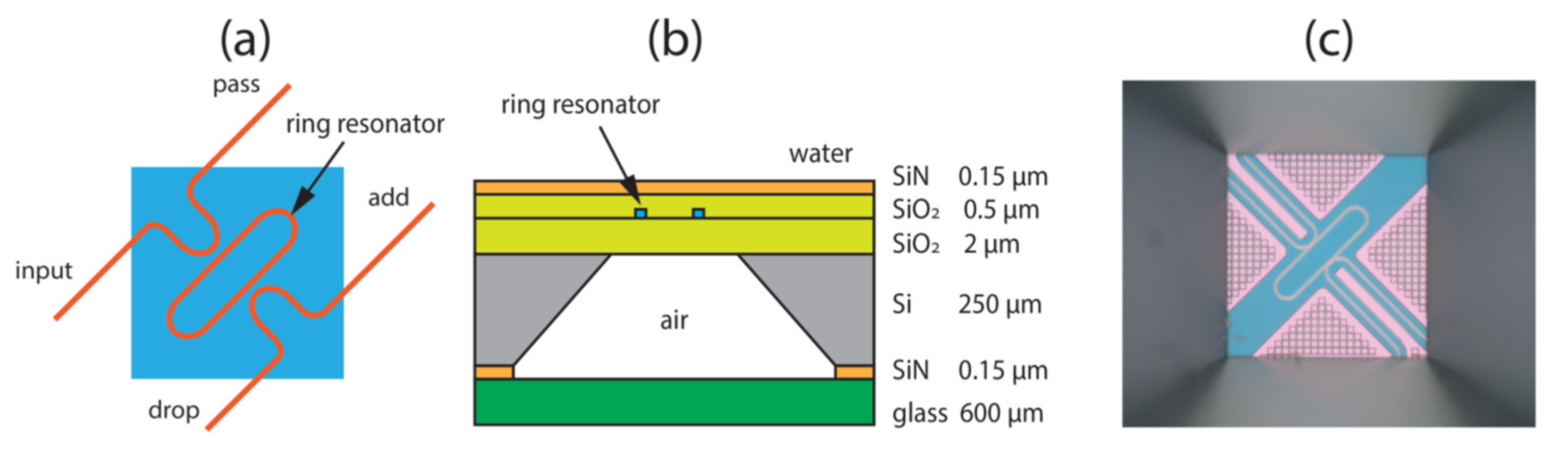 Biosensors 12 01038 g012